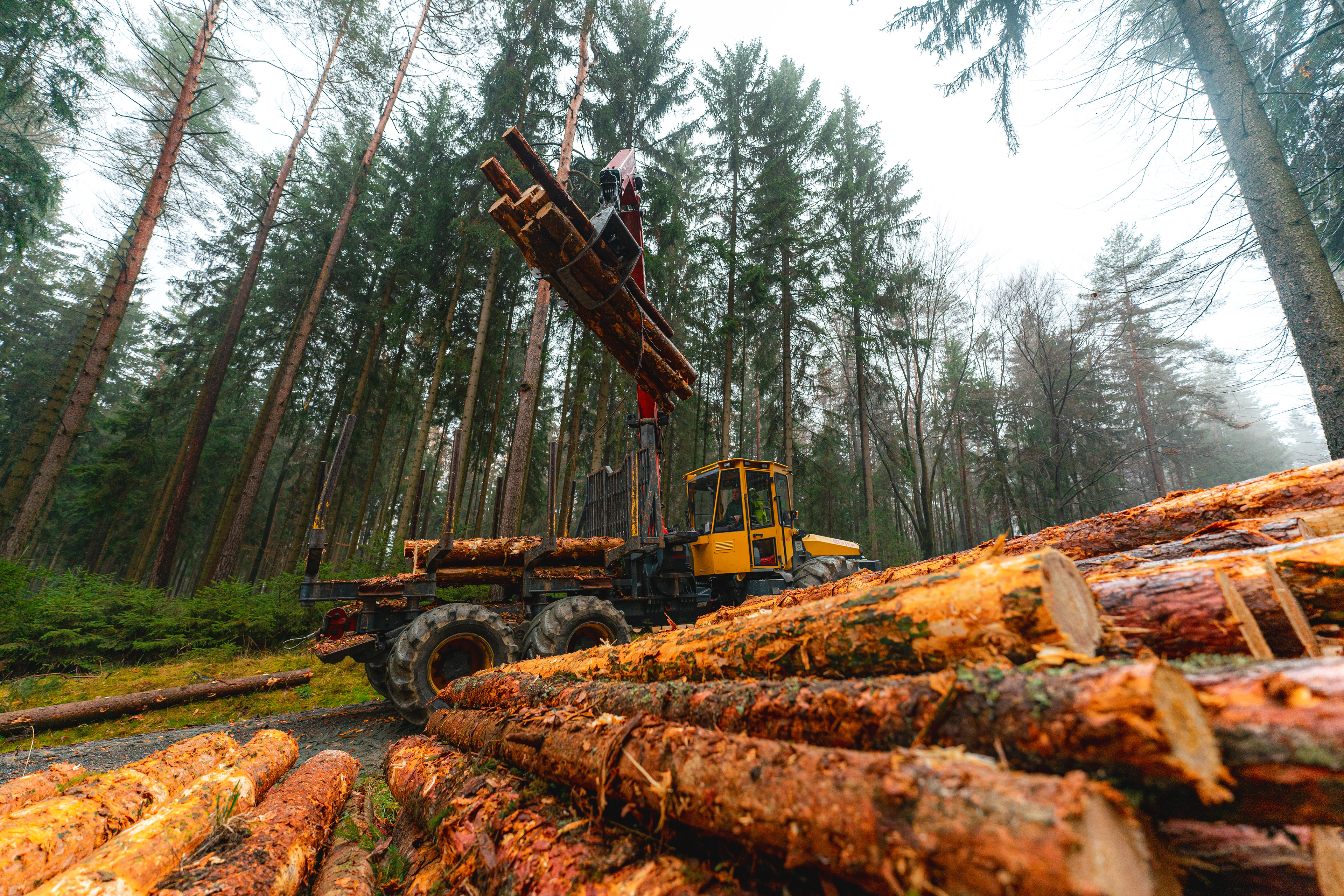 WELTE Forstschlepper