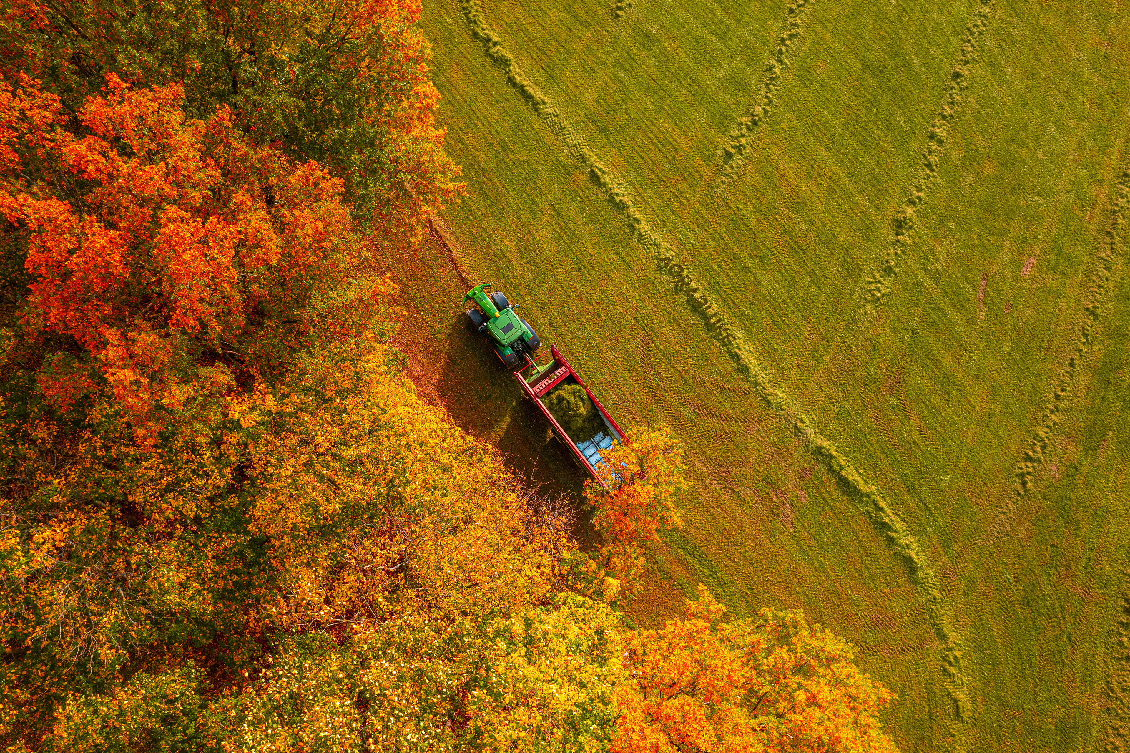 DIE EBERSBACHER im Grünland
