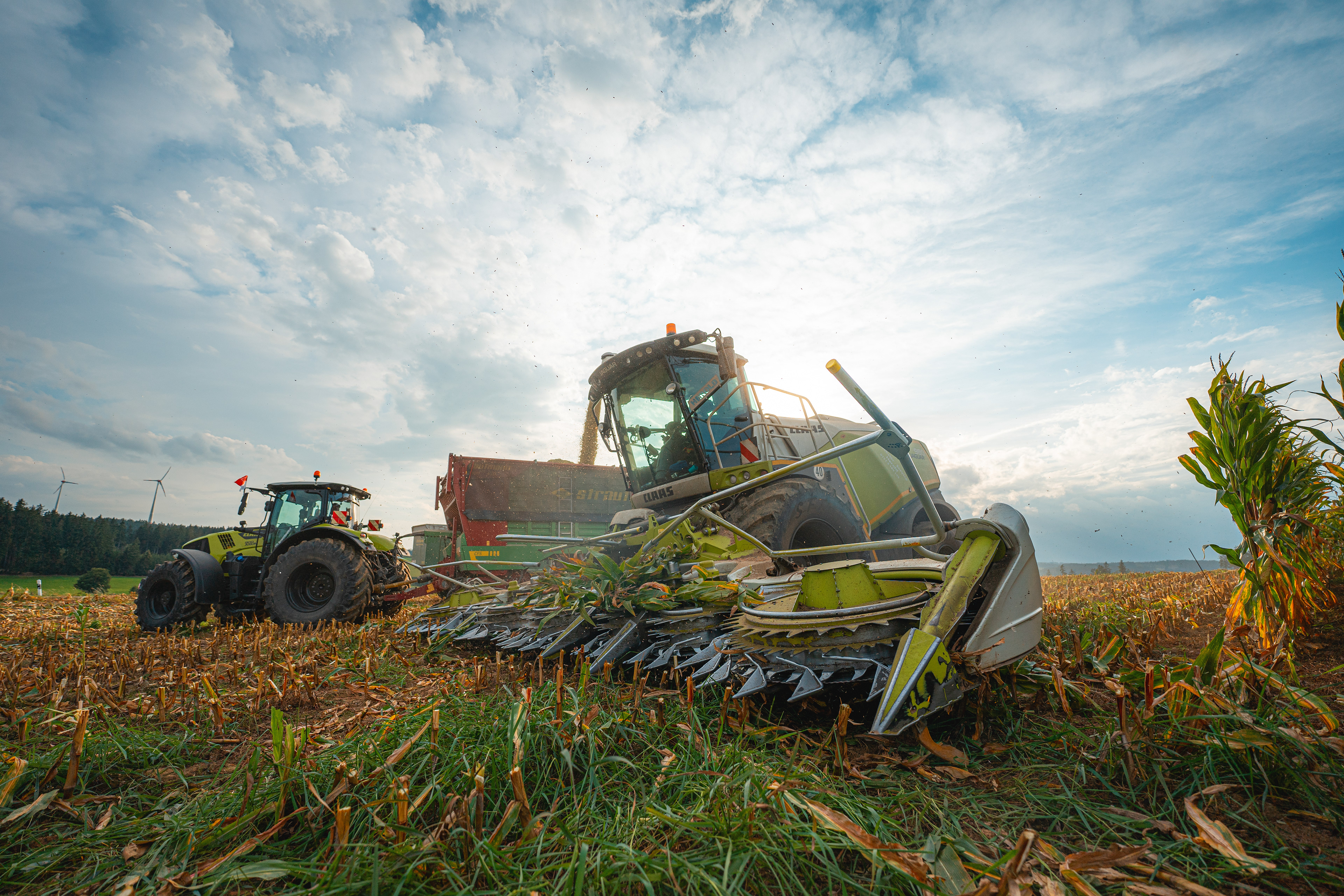 Claas Jaguar 980 des Häckslerservice Herold