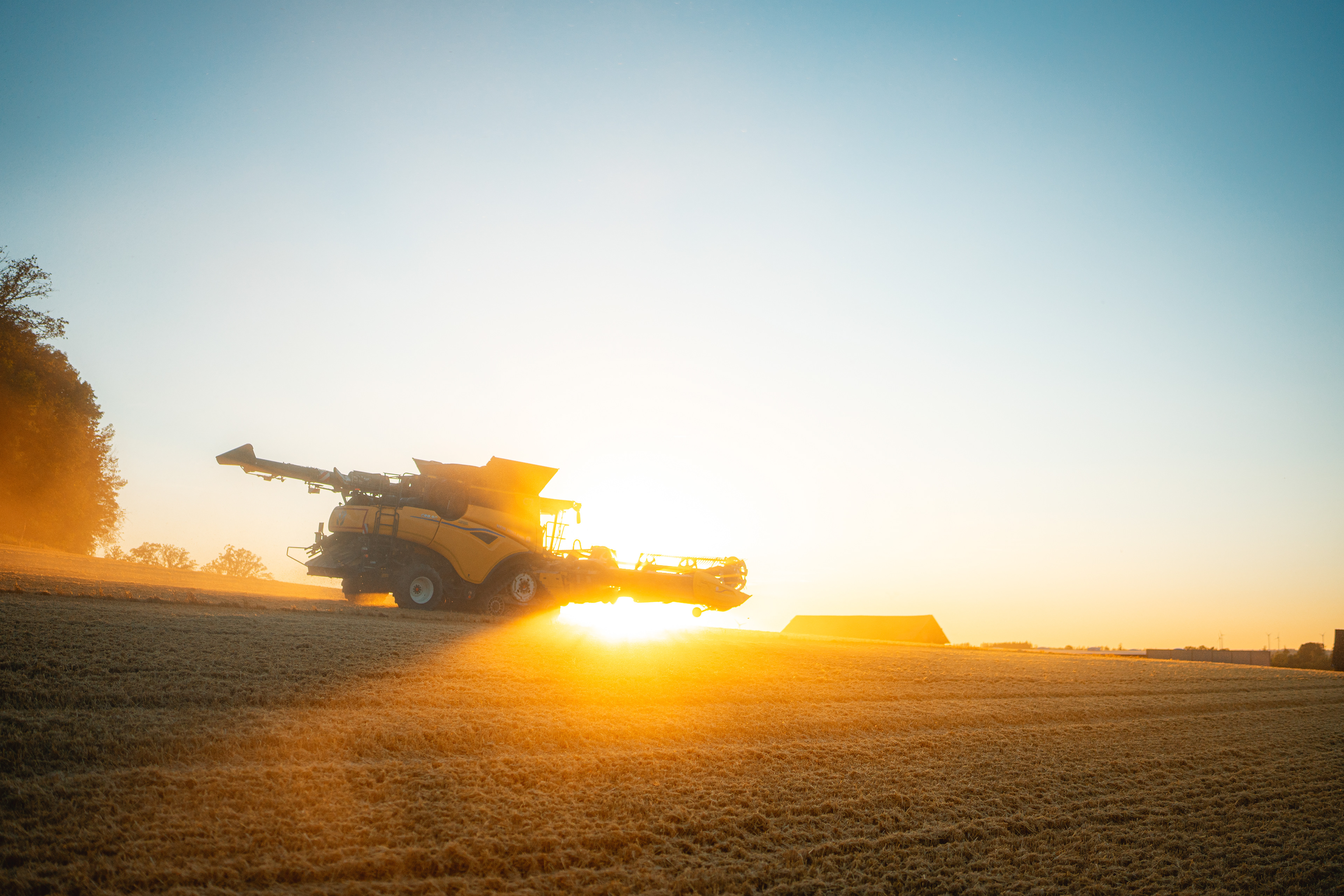 Ernte bei der von Waldenfels´sche Gutsverwaltung