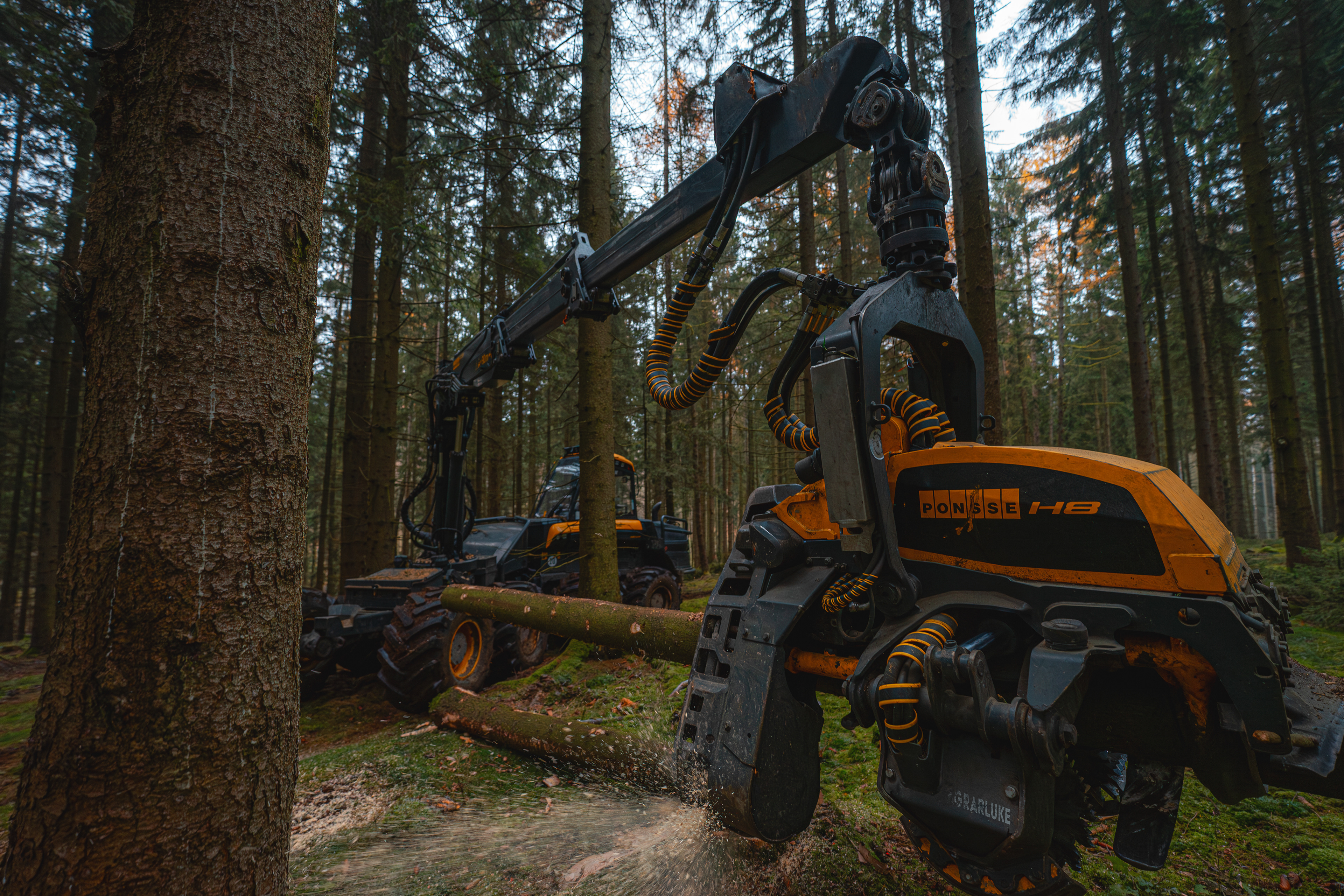 Ponsse Bear beim Forstunternehmen Poehler