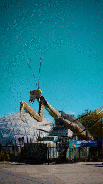 Festival Promo