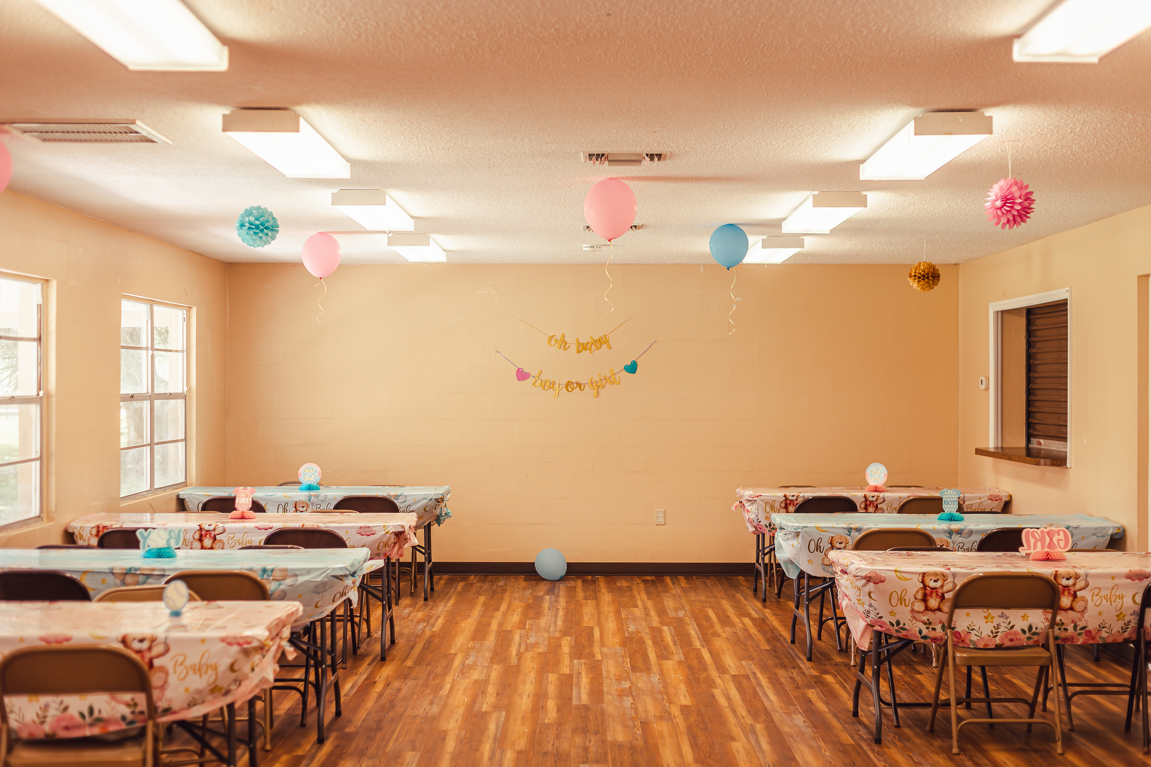 Gender Reveal Party