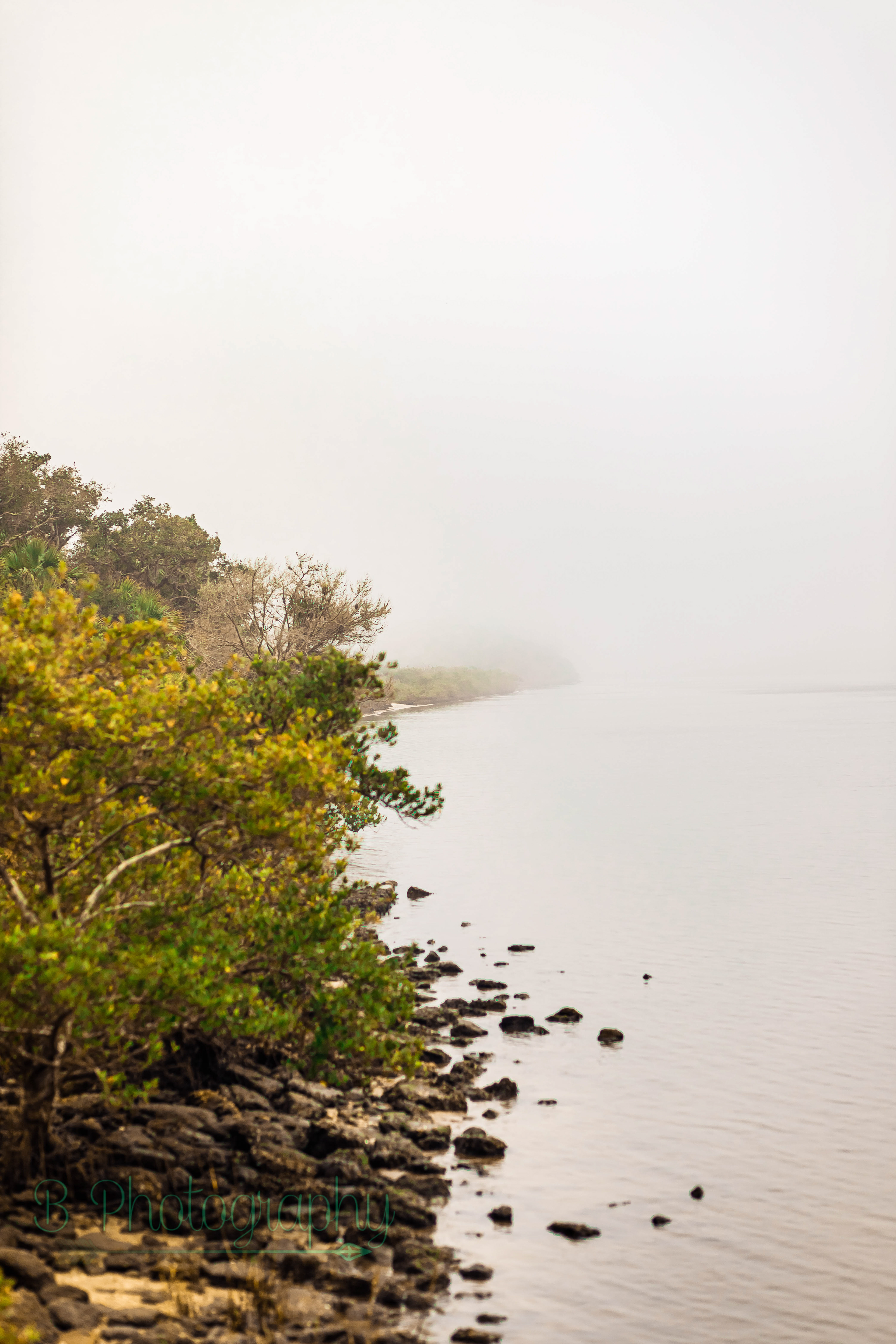 Washington Oaks State Park - Palm Coast, FL