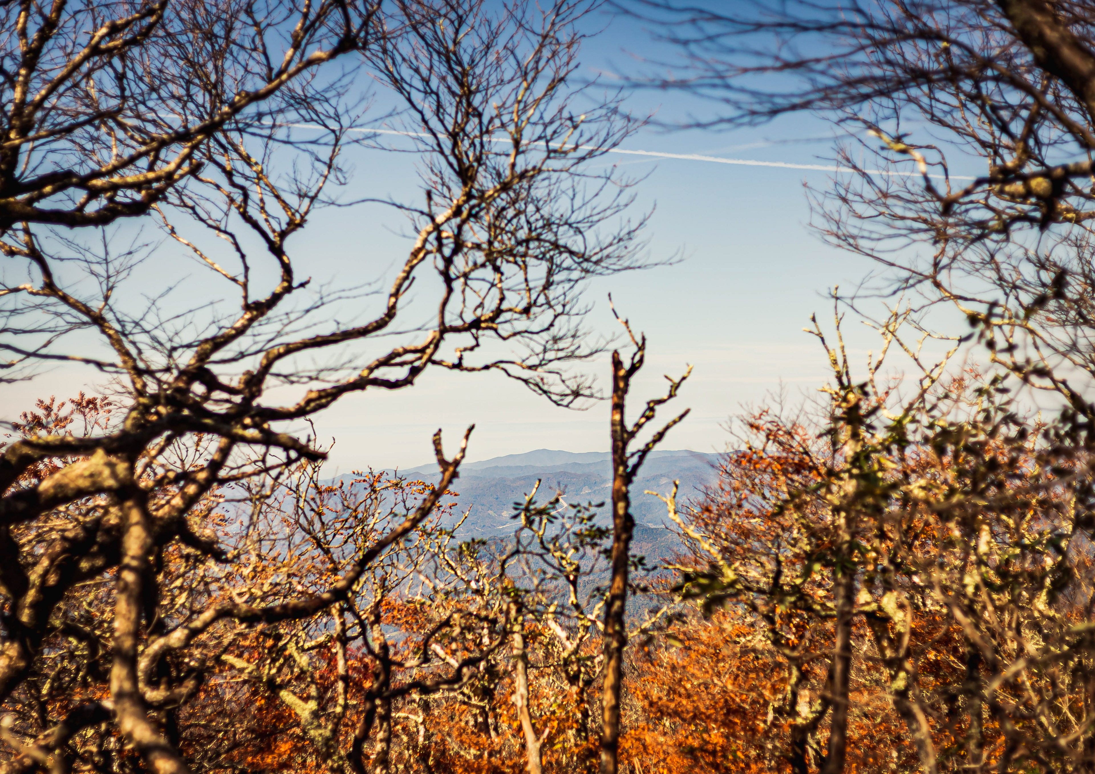 North Carolina Mountains