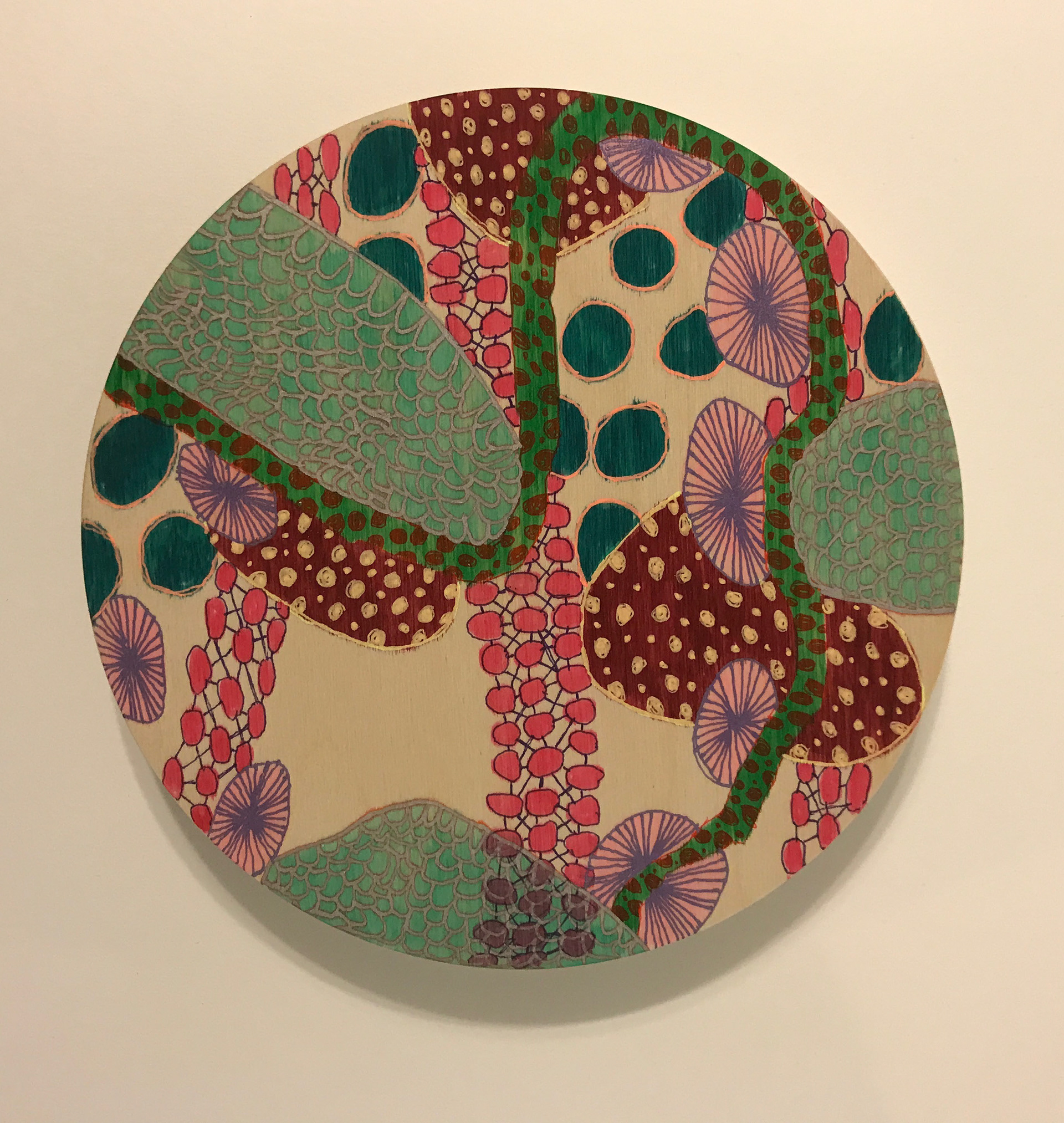 Petri #2, drawing materials, 8" circle
