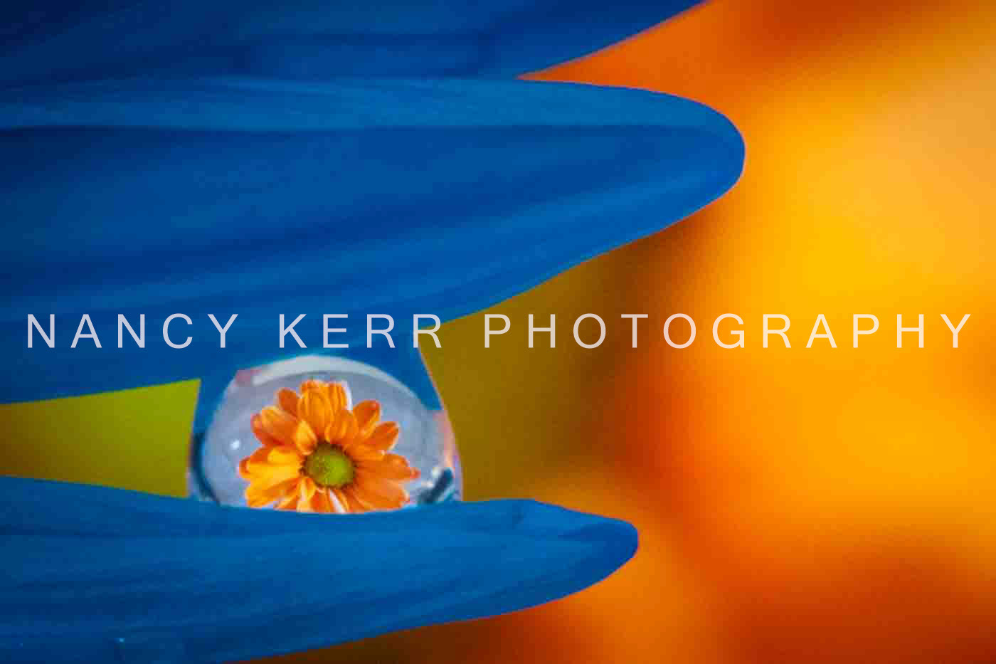 Printed on Foam Core - 6.5x10