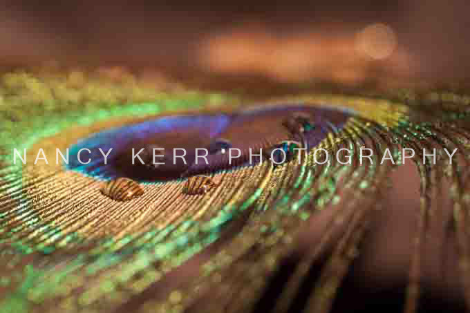 Printed on Foam Core - 6.5x10