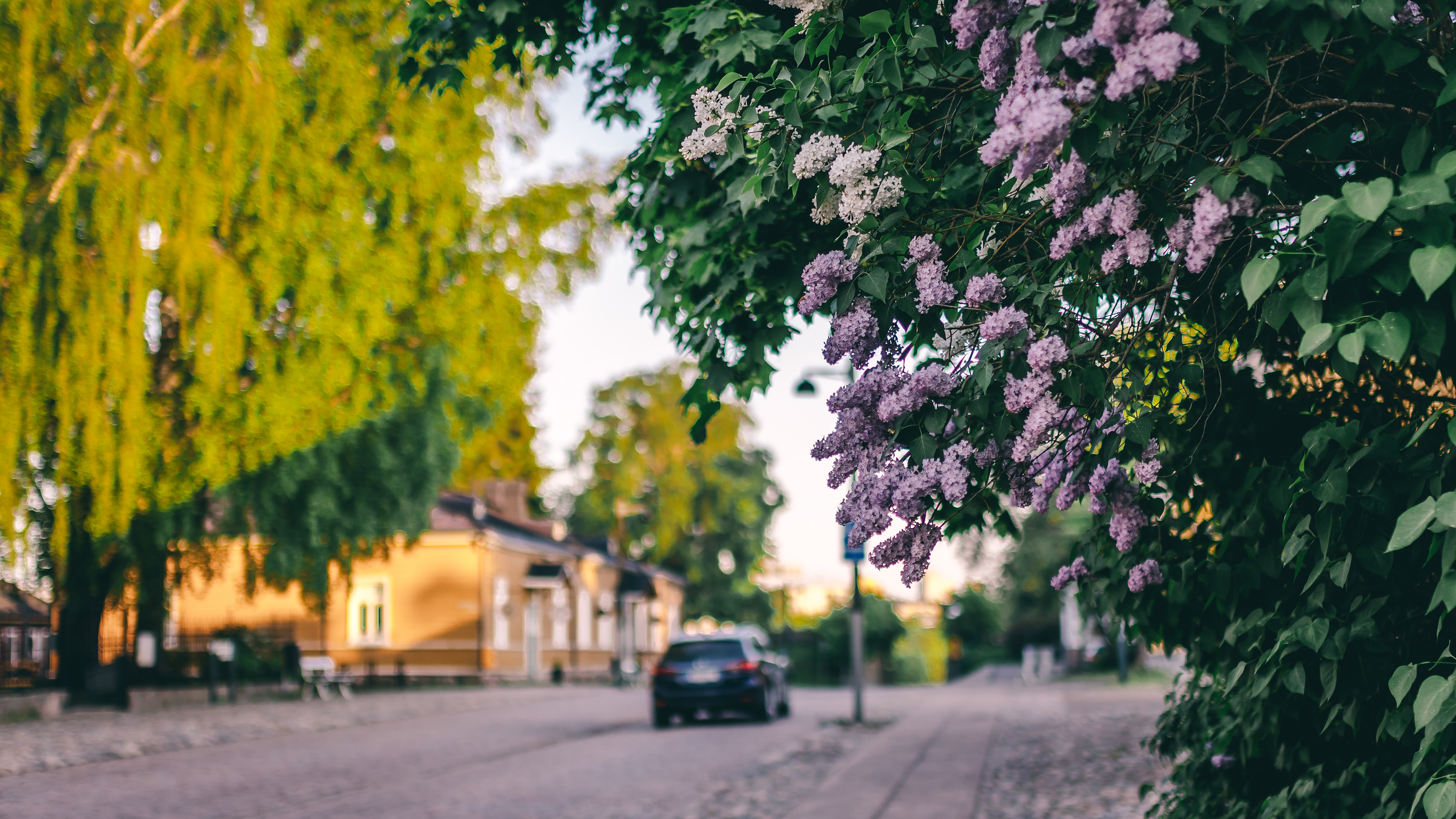 Lappeenranta (2024)