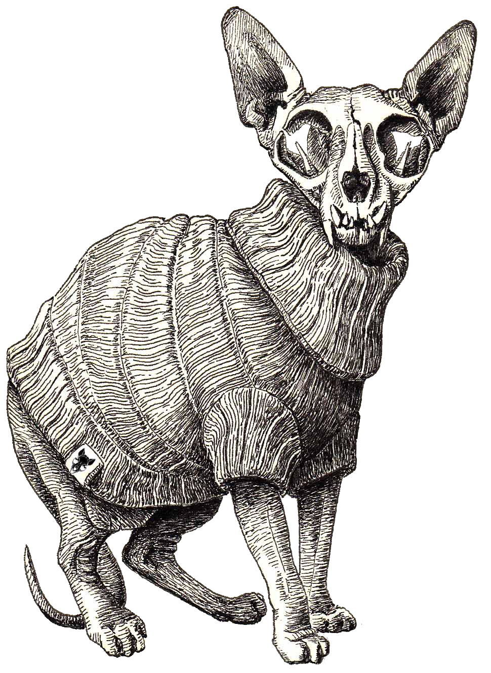 Design made for the brand Sfhynx 