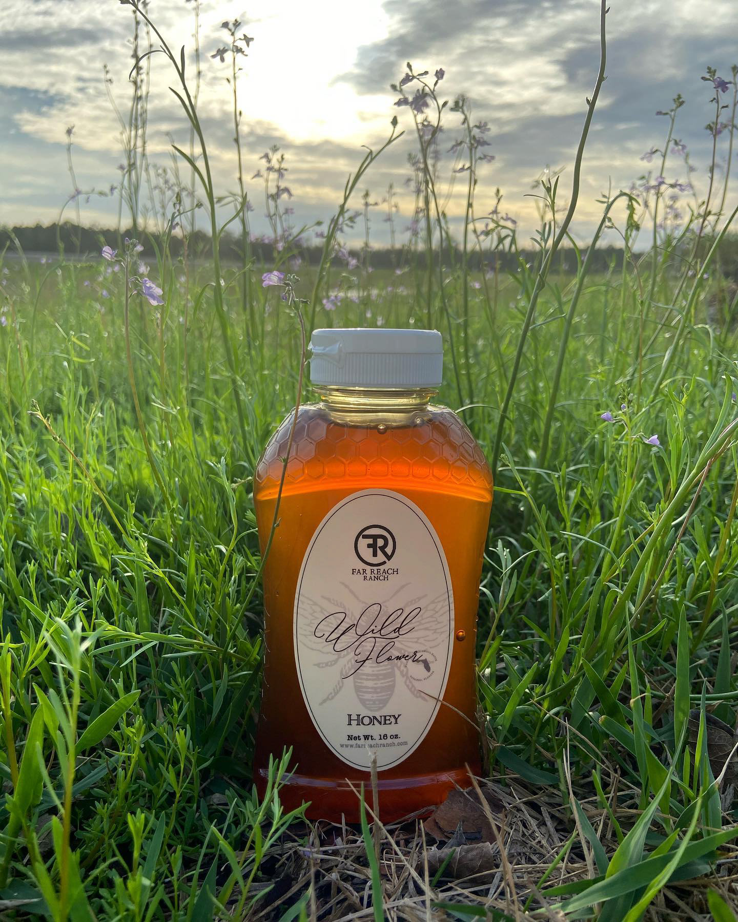 Wimsy honey label design by Mannes Designs