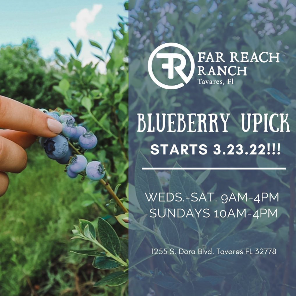 Tailored digital marketing design