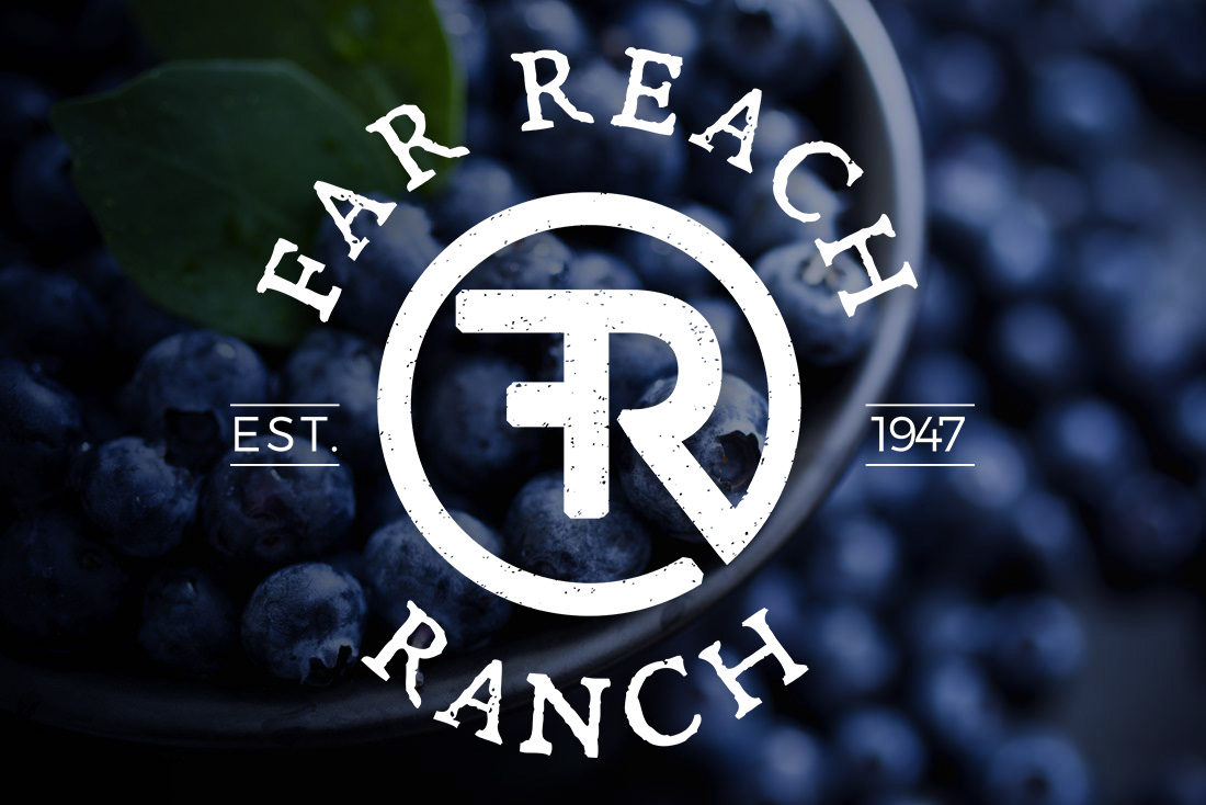 Custom rebrand logo design 