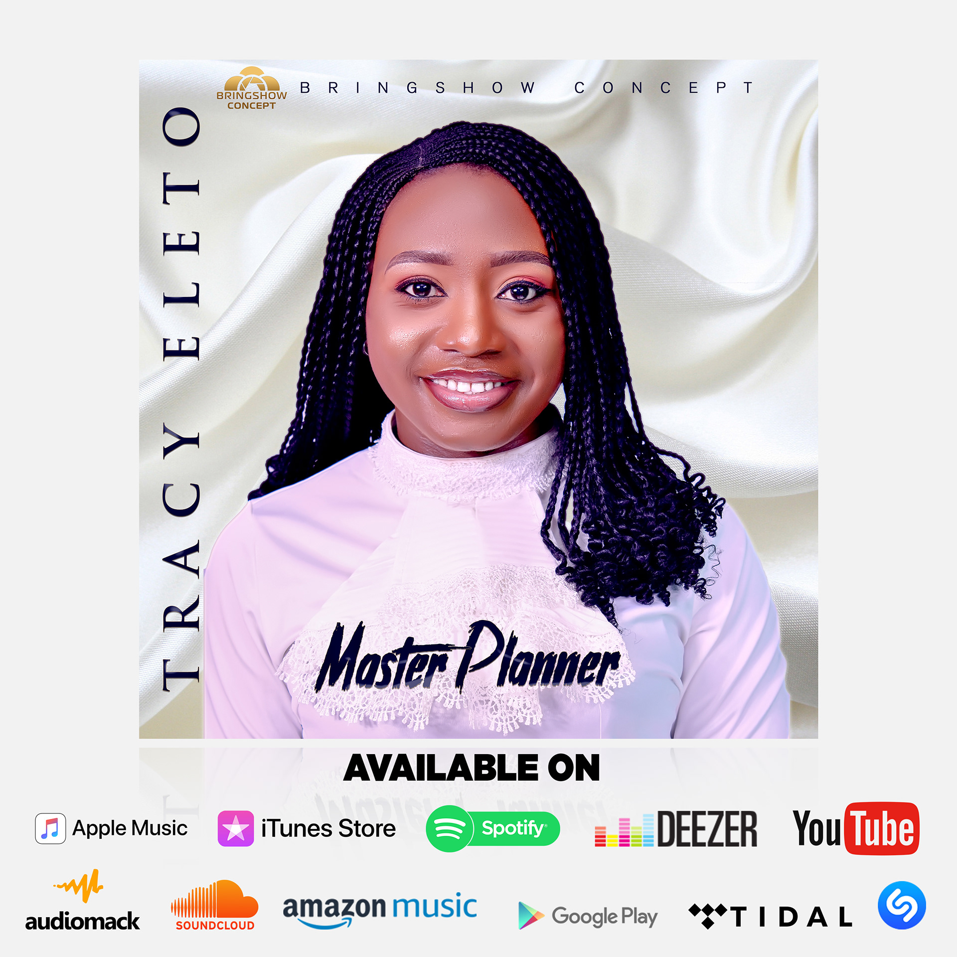 Master Planner Cover Art