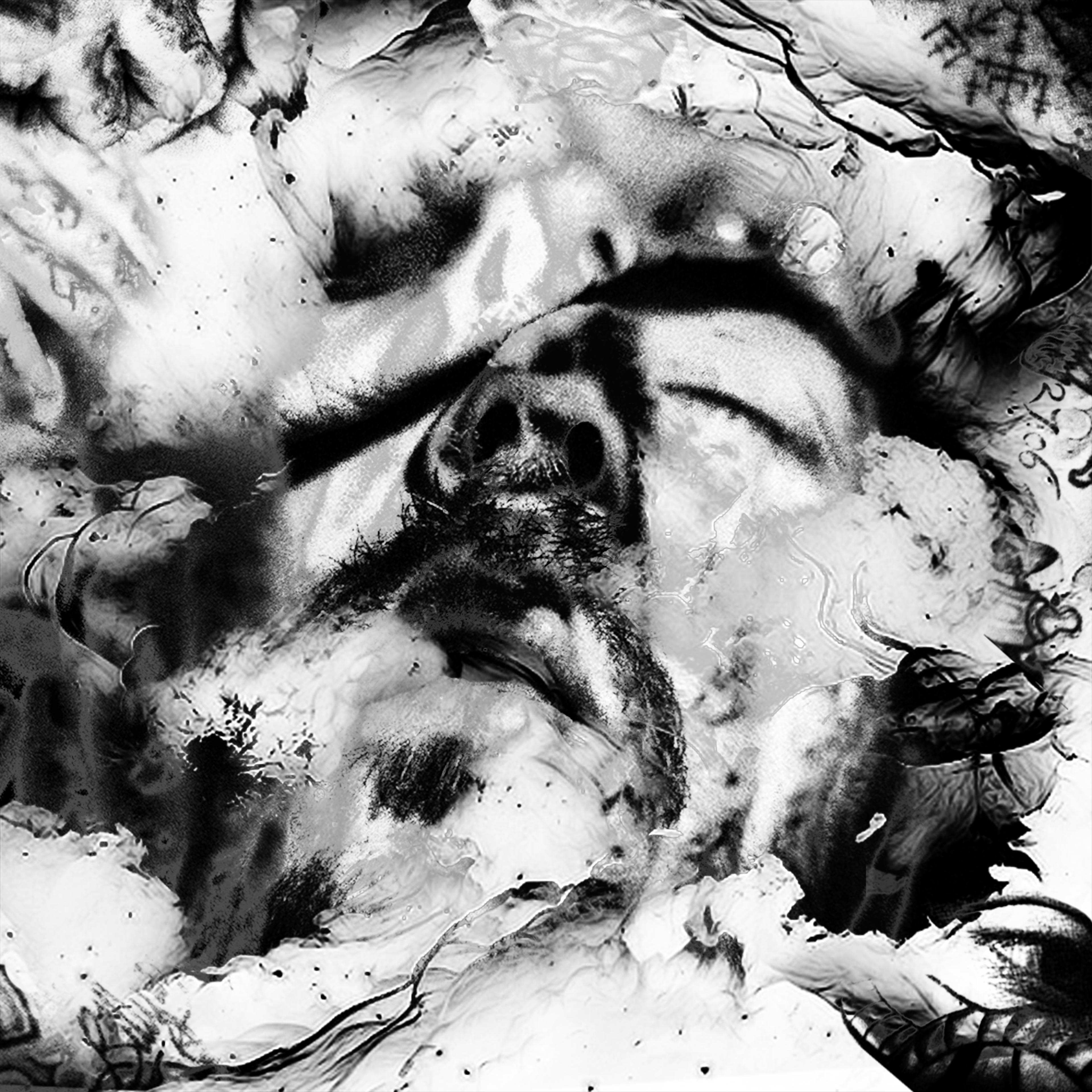 RABSPITZ - LOOSE CANON