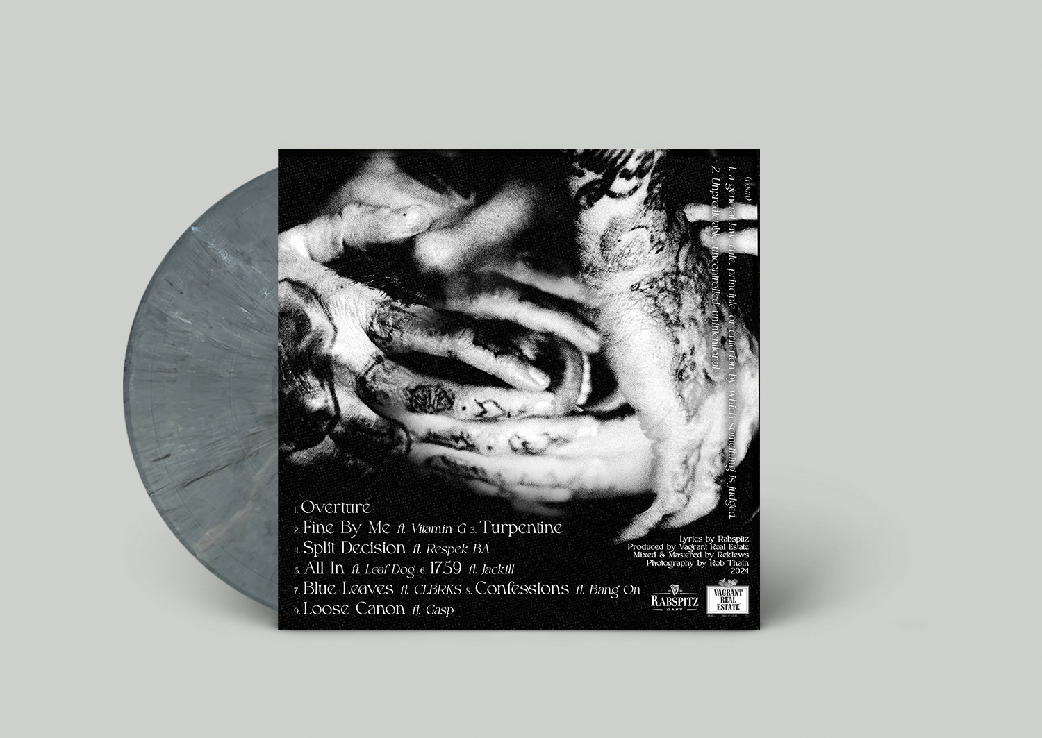 RabSpitz - Vinyl Mock Up (Back)