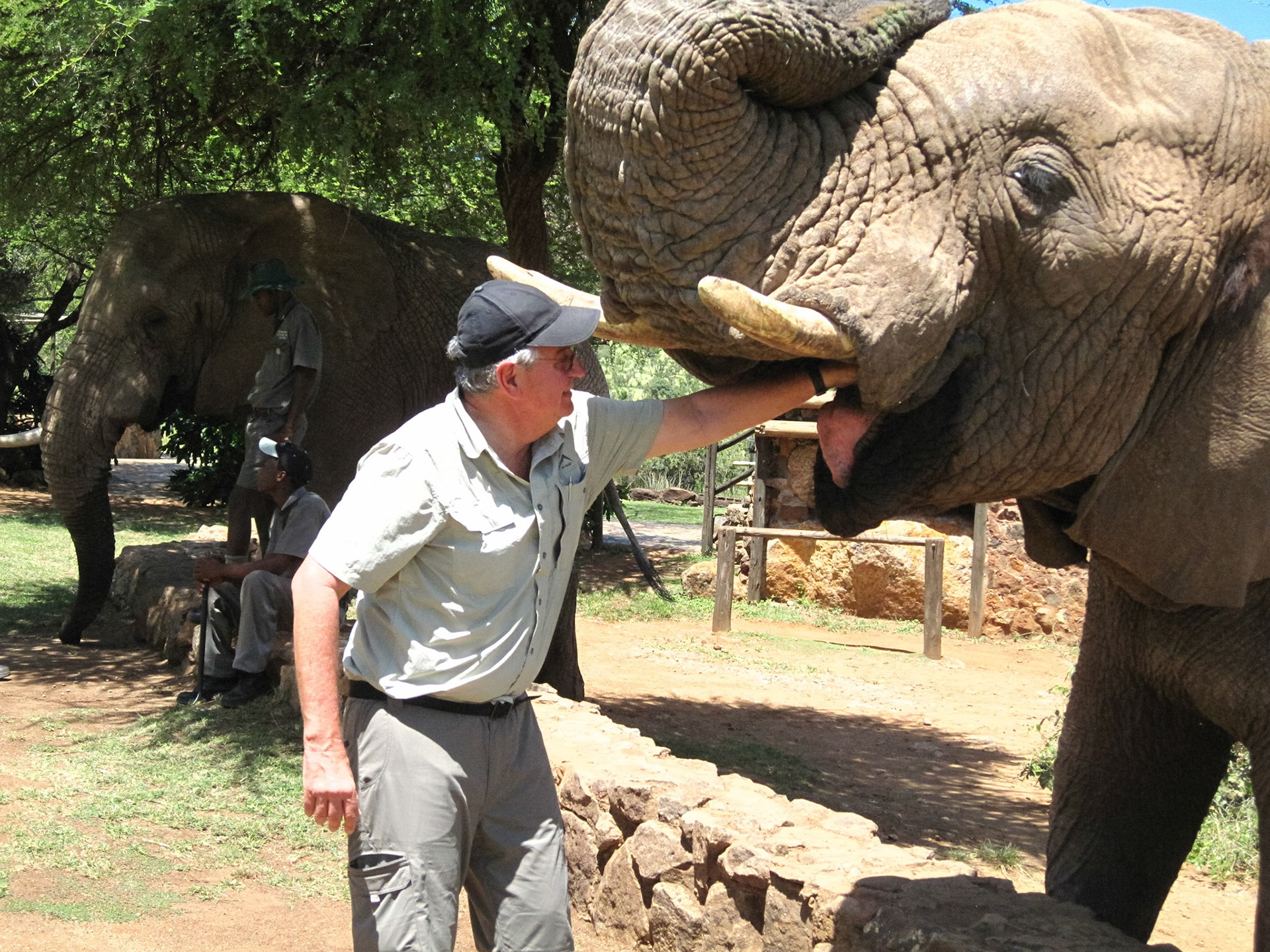 Feeding Elephants in the The Palace of the Lost City, RSA