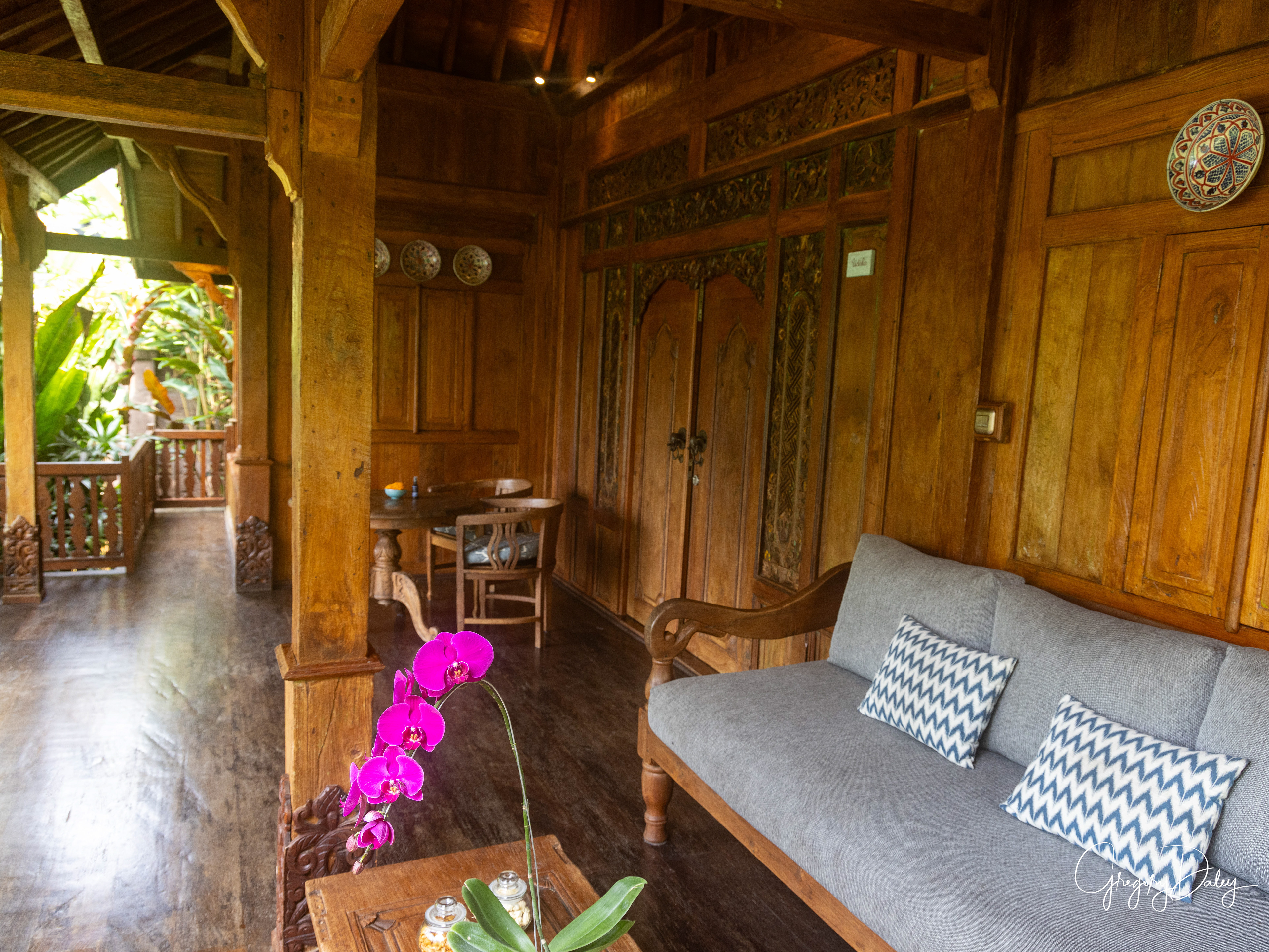 Orchids on the Porch