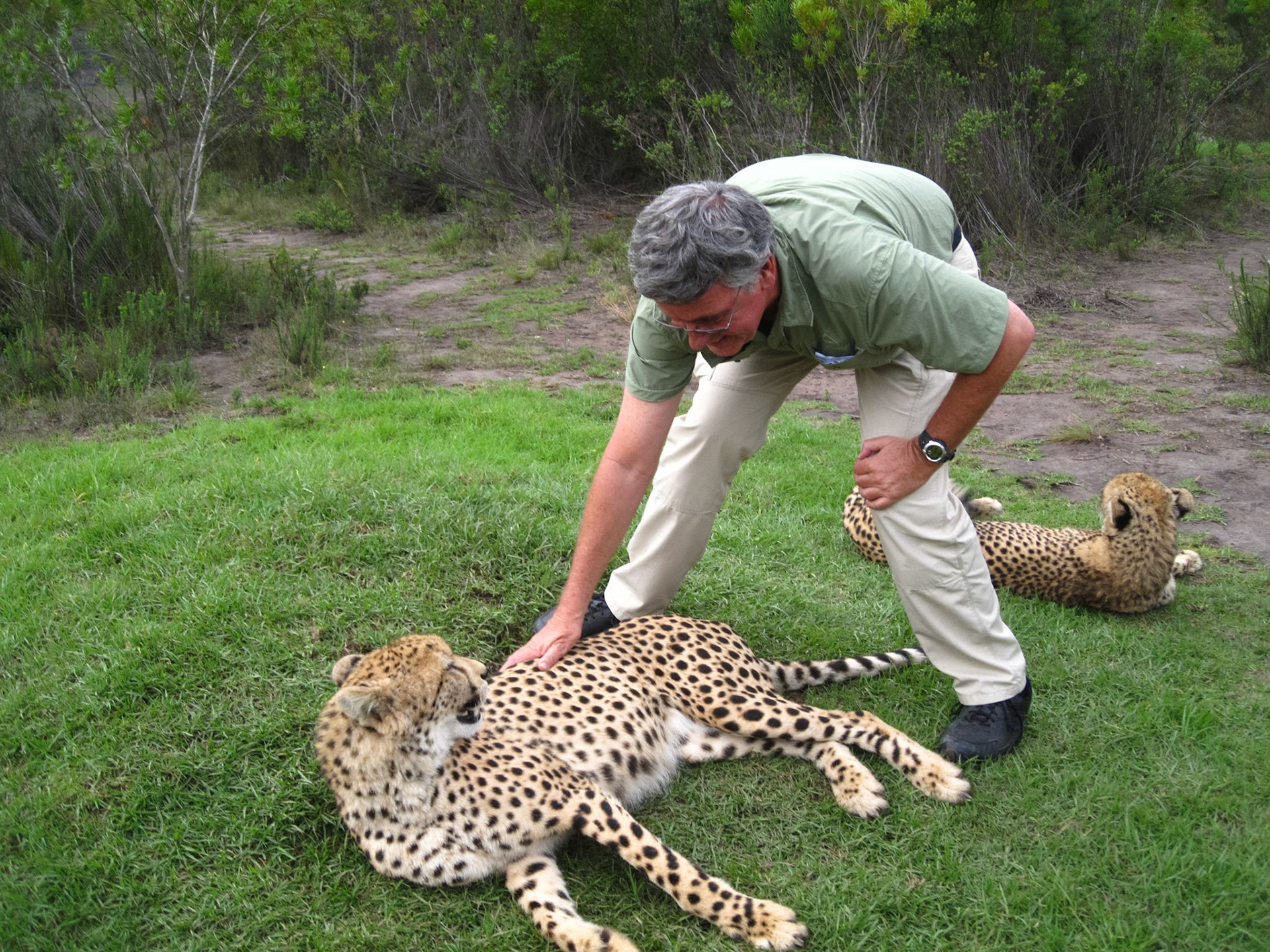 Capt. Daley petting a cheetah in the Tsitsikamma National Park