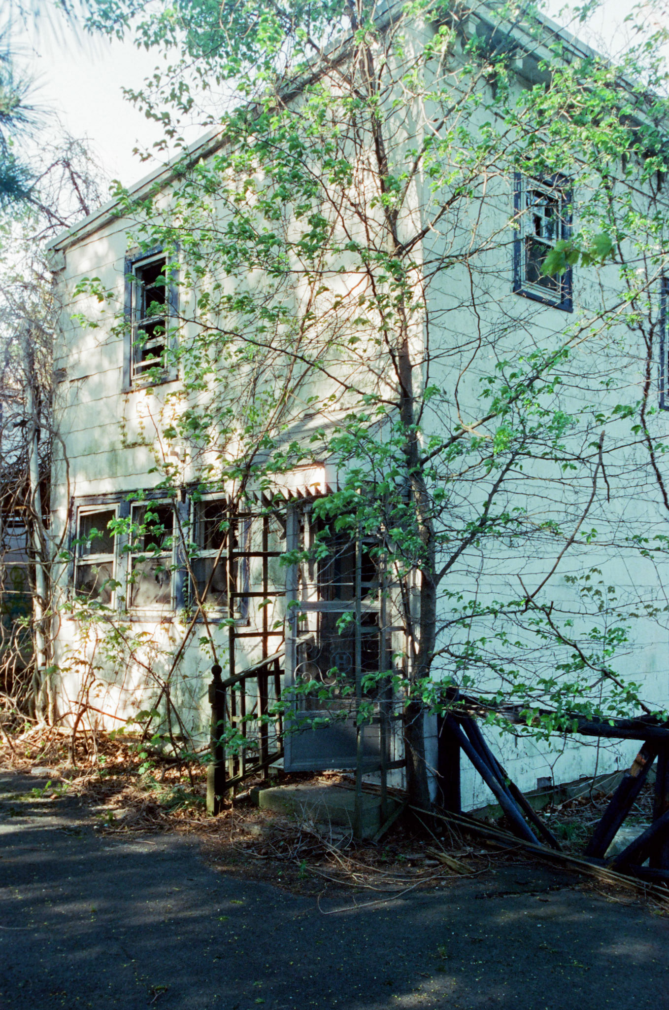 Elmwood Park House
