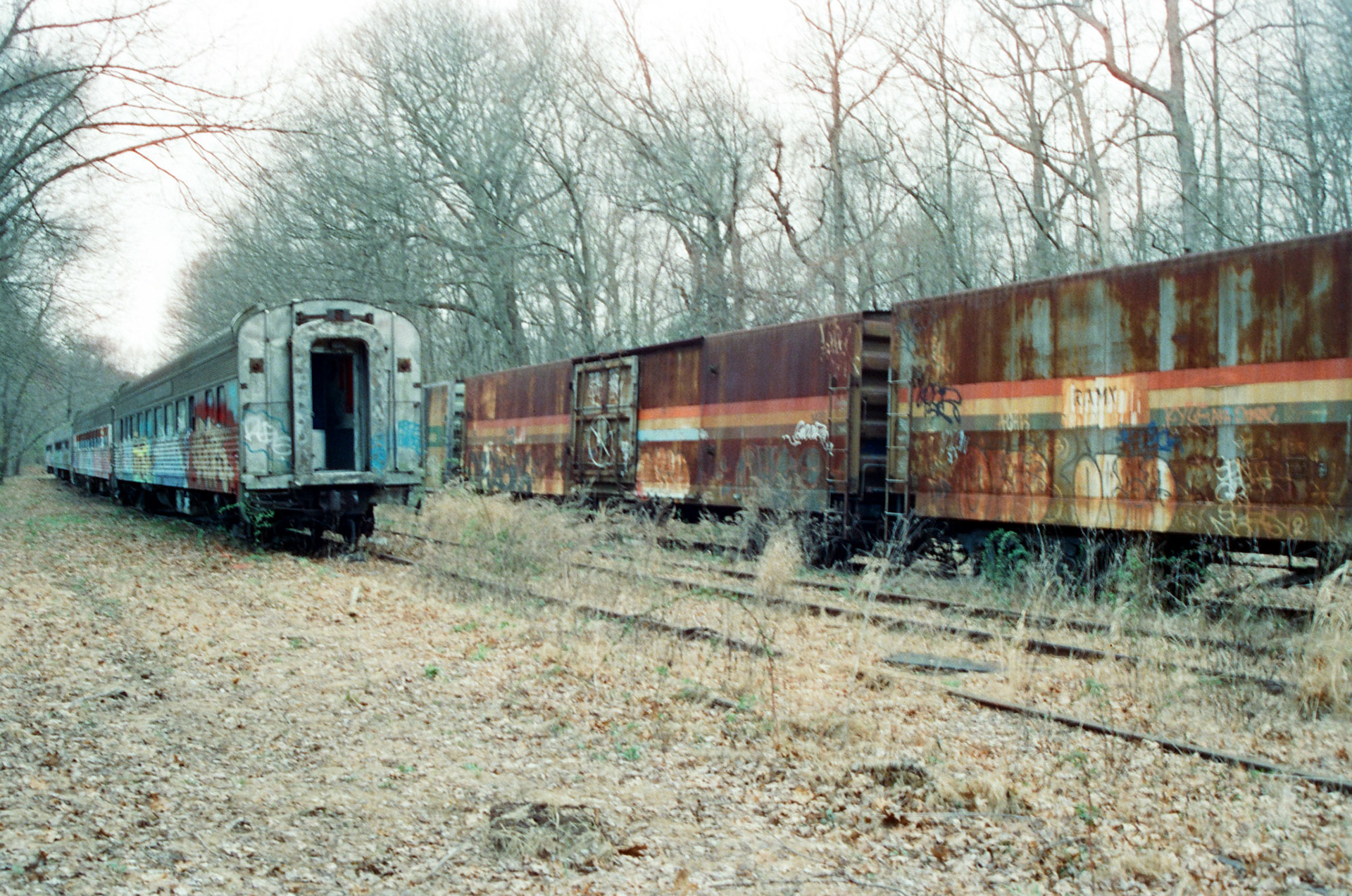 NJ Trains