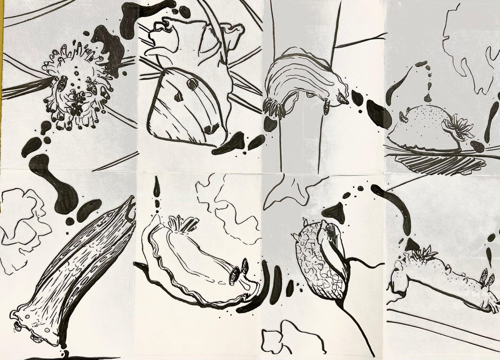Ink on paper