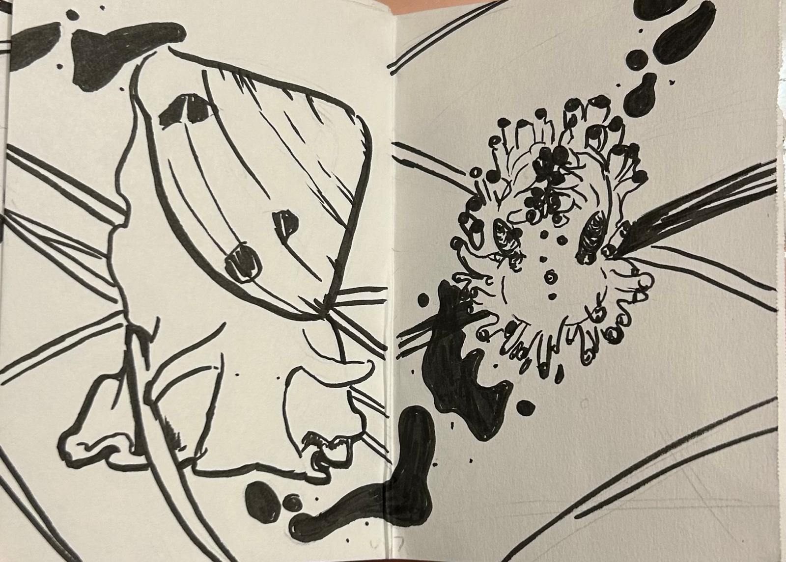 Ink on paper