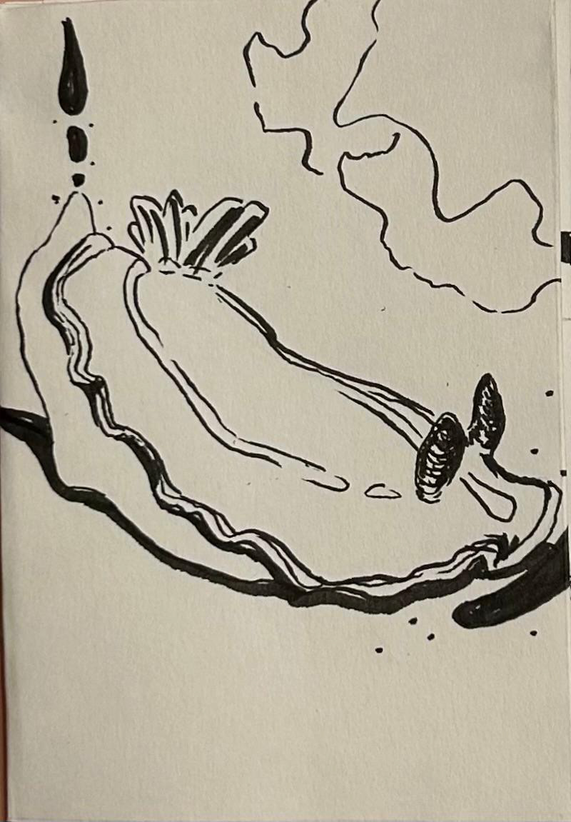 Ink on paper