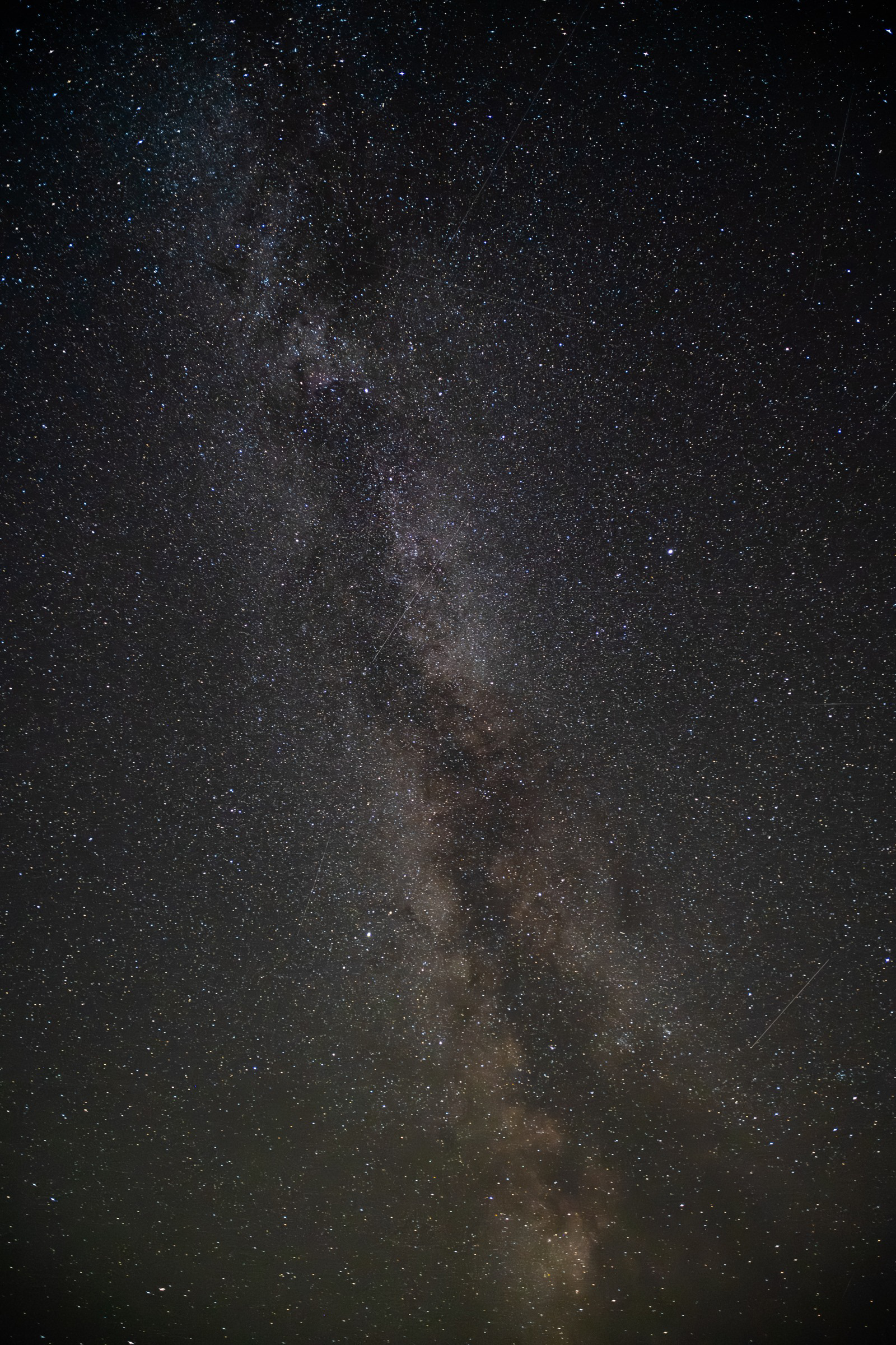 The Milky Way stretching vertically through a dense field of stars.