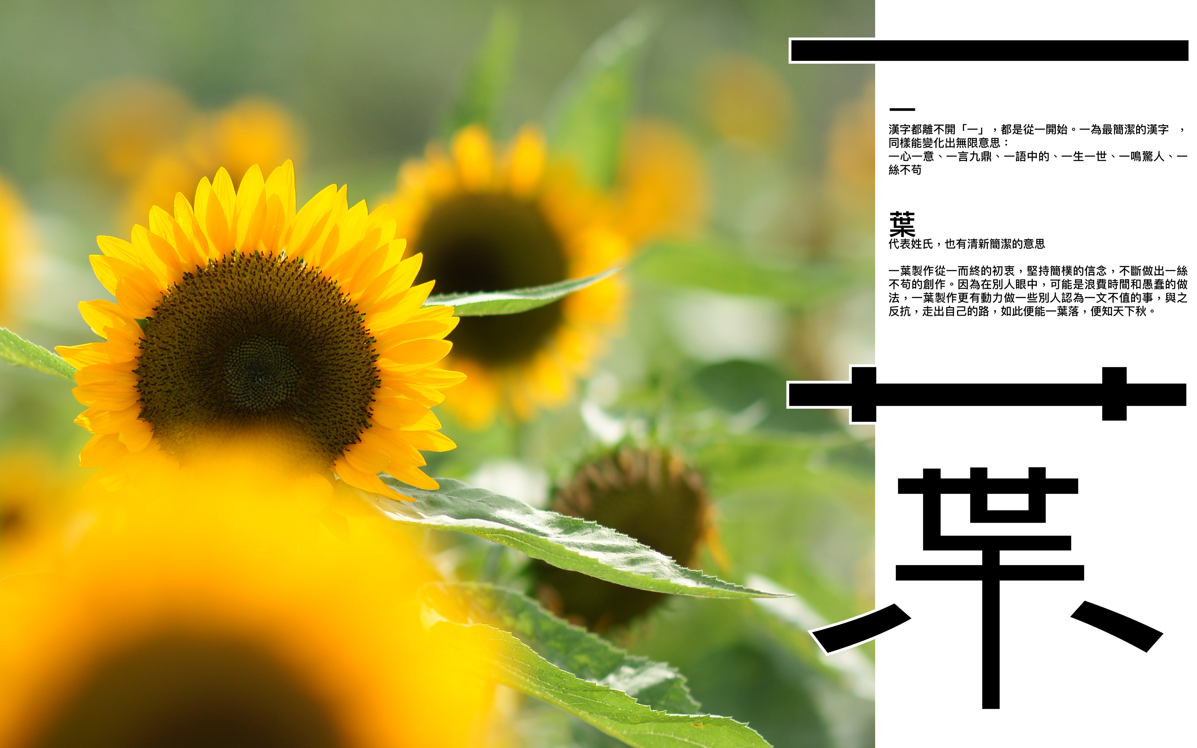 一葉製作的字解