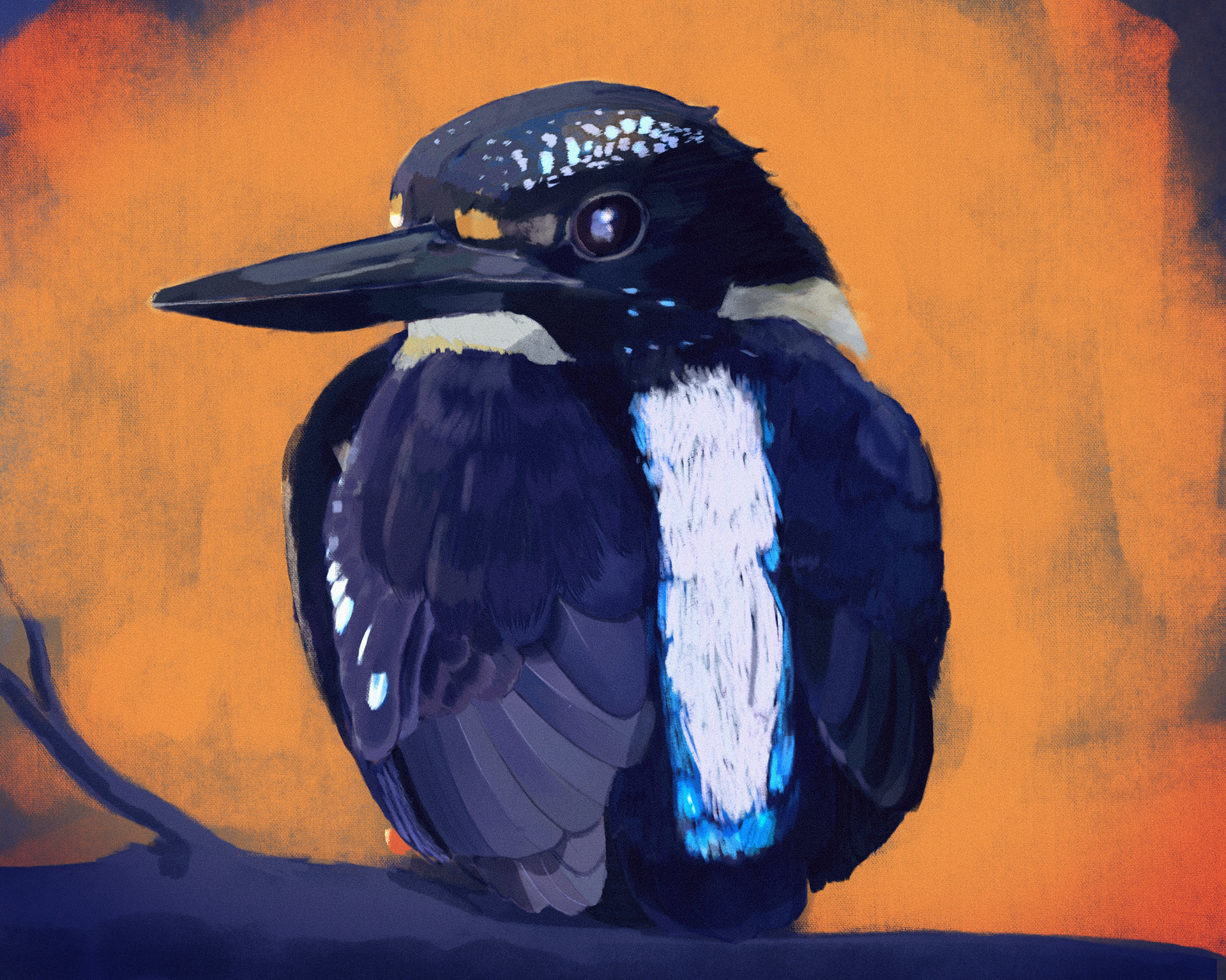 Northern Silvery Kingfisher