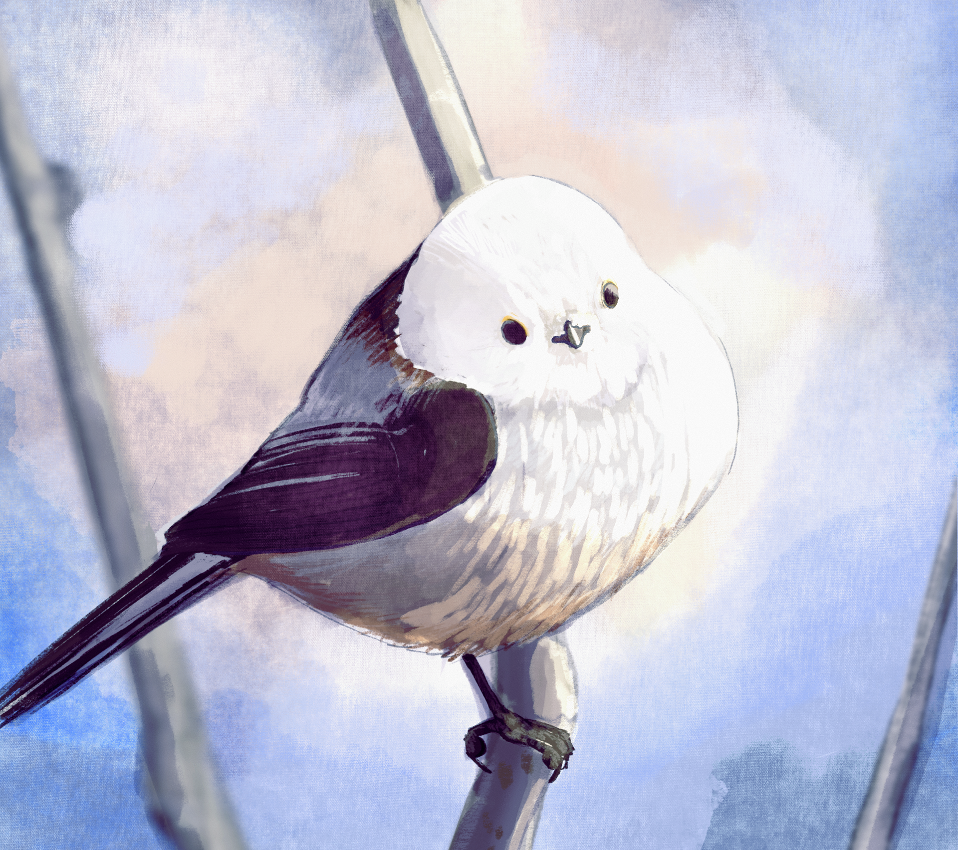 In the Winter Forest