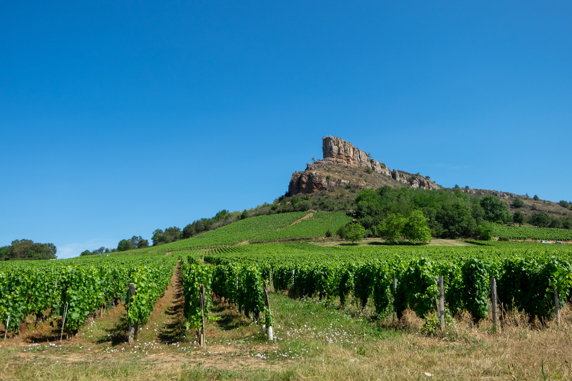 Roche de Solutré, Burgundy - France