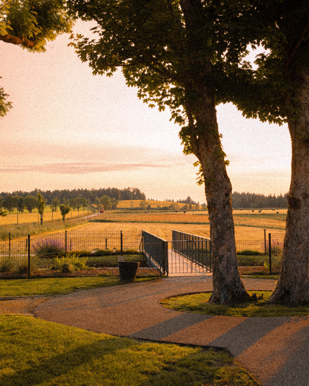 Reportage pour le domaine de la Diligence