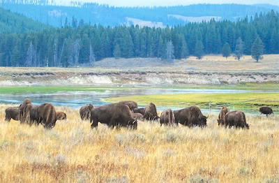 No Problem