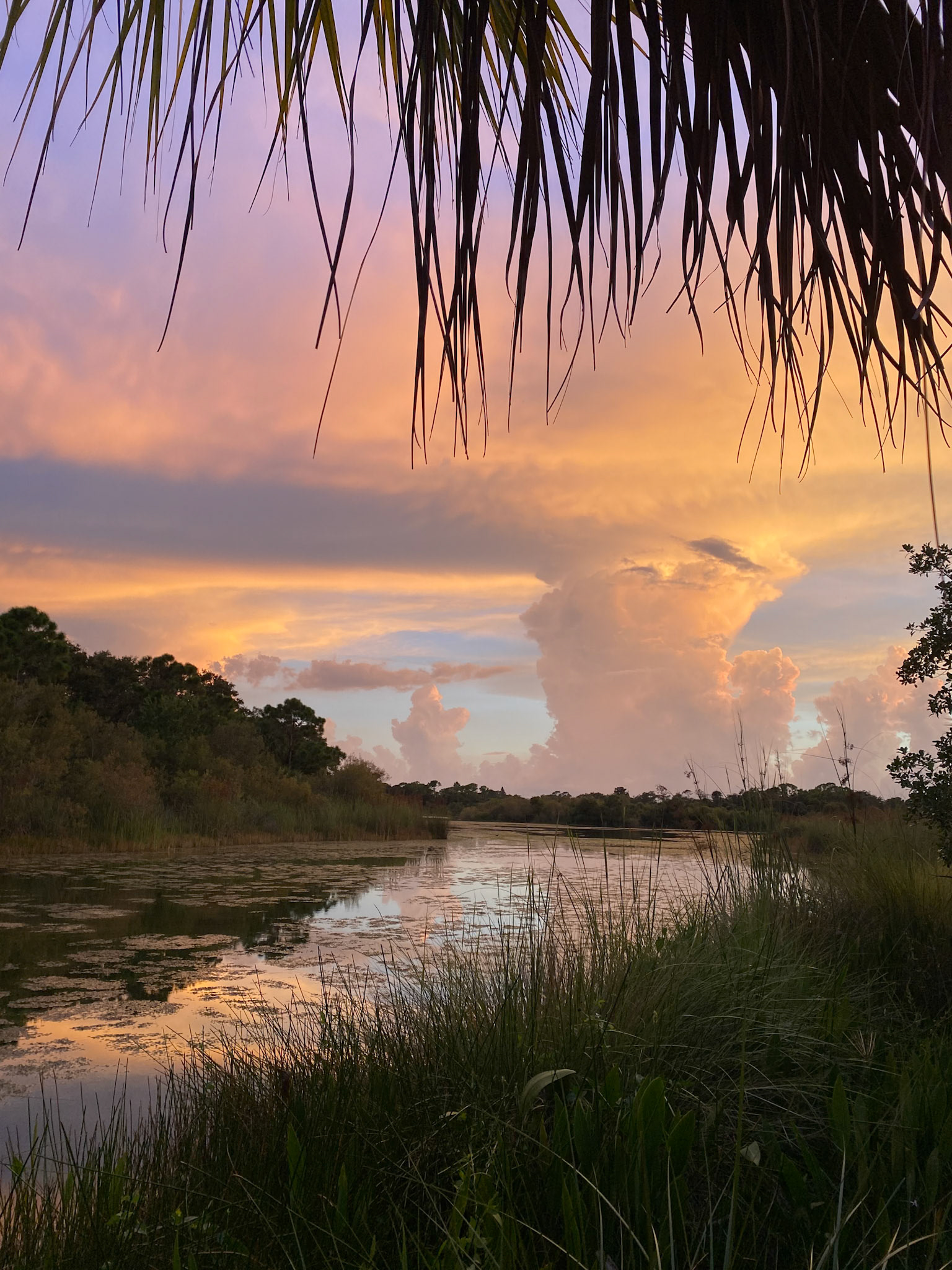 Soul of SW Florida