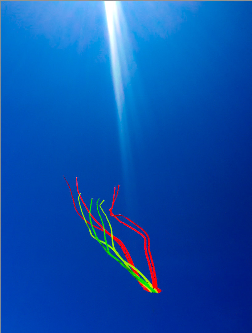 Jitterbug's beam