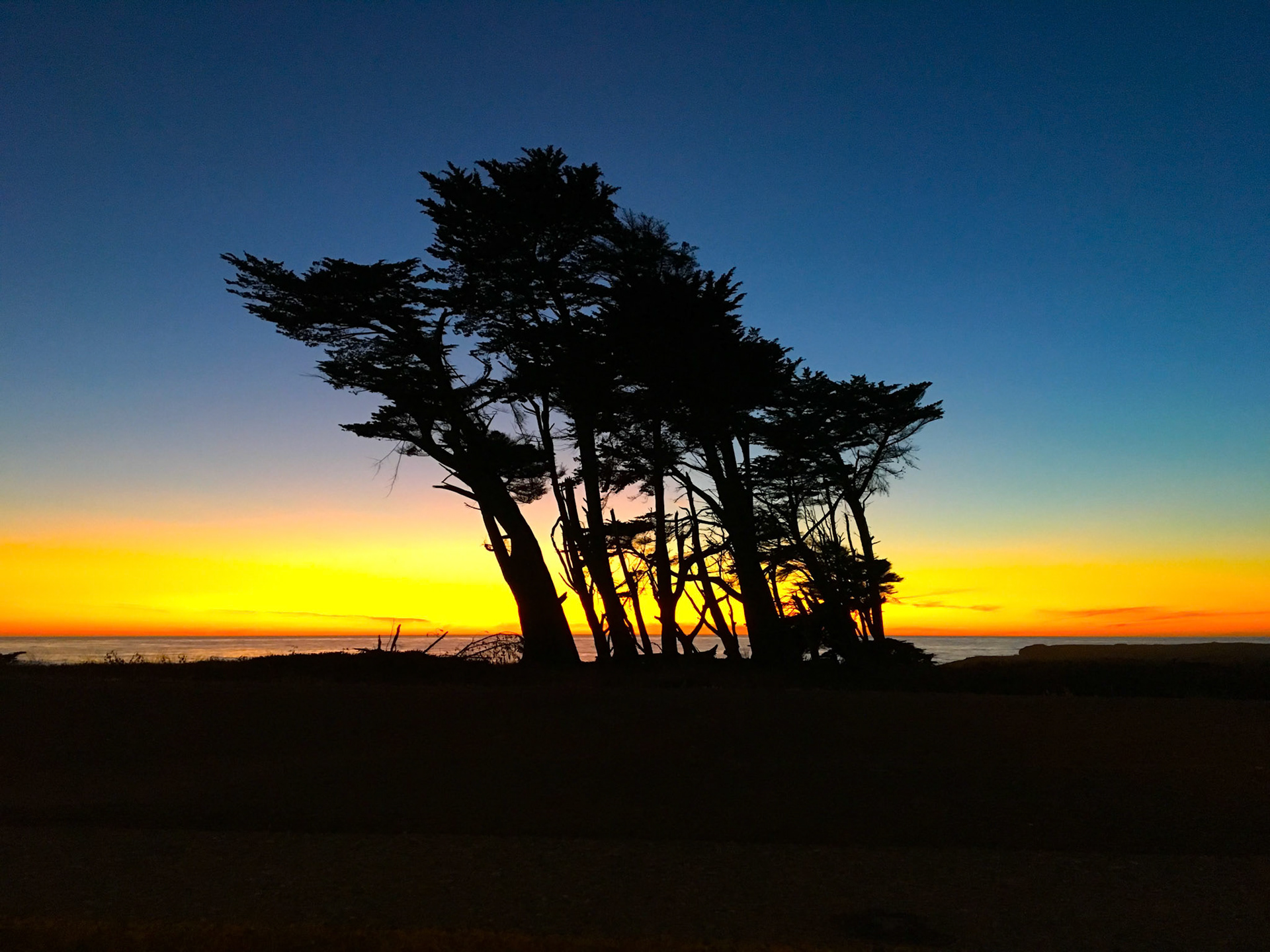 Last Light