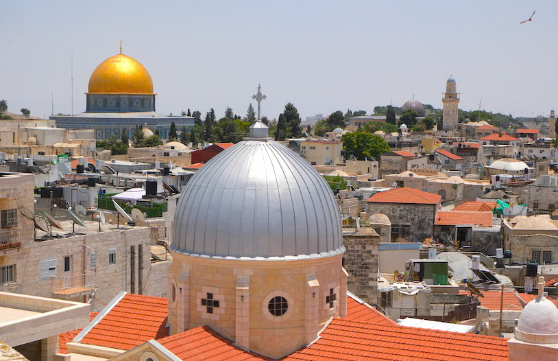 Pilgrim's View