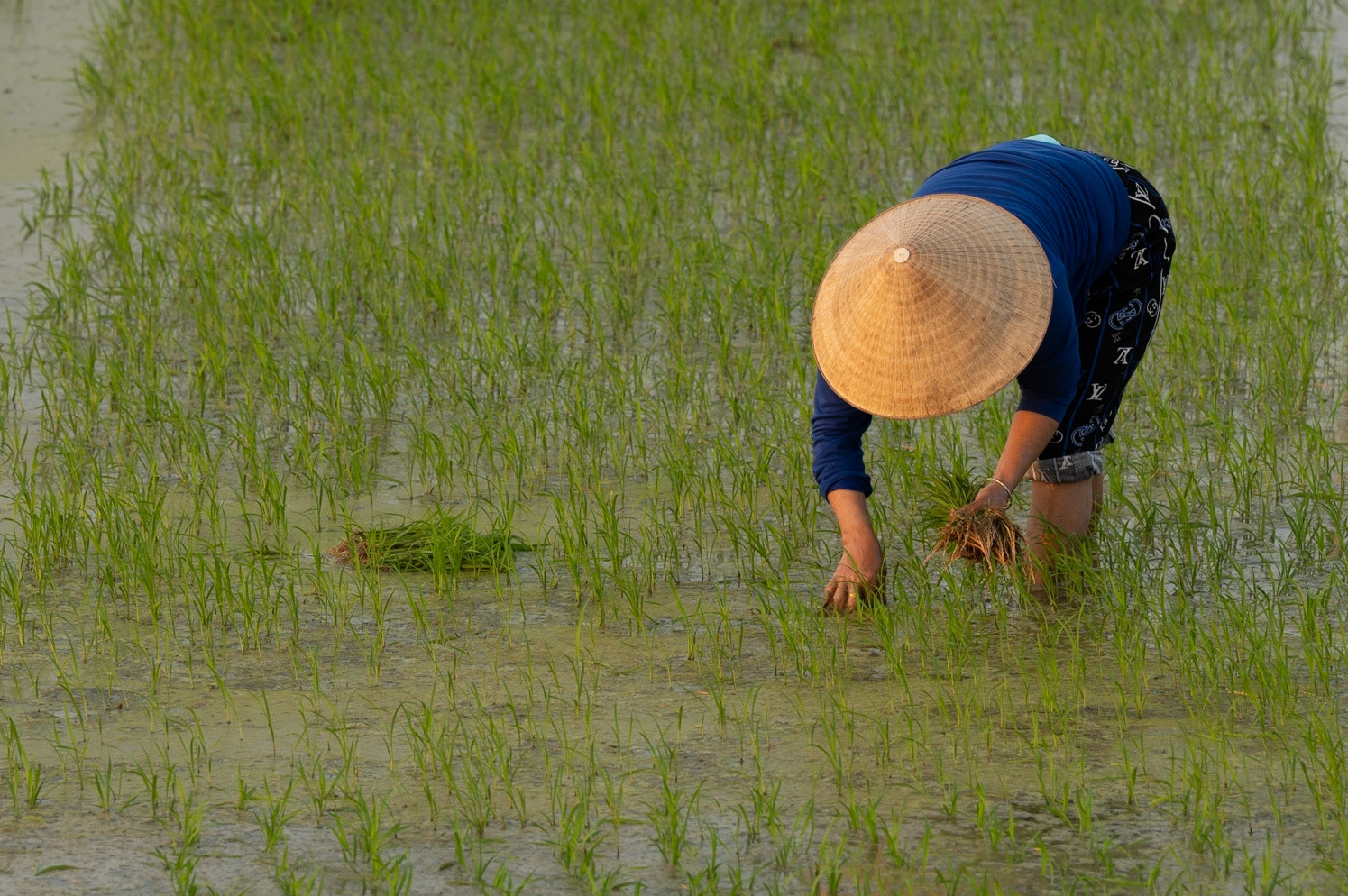 Hoi An / 24-01-2021-465