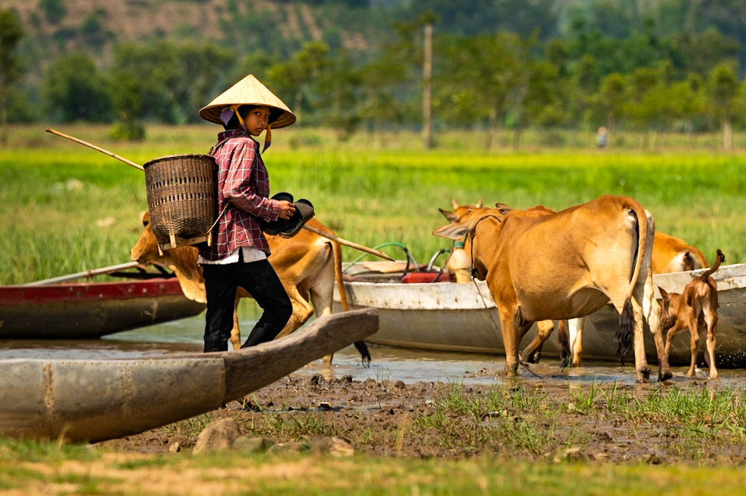 Cow herder along lak Lake / 30-04-21-204