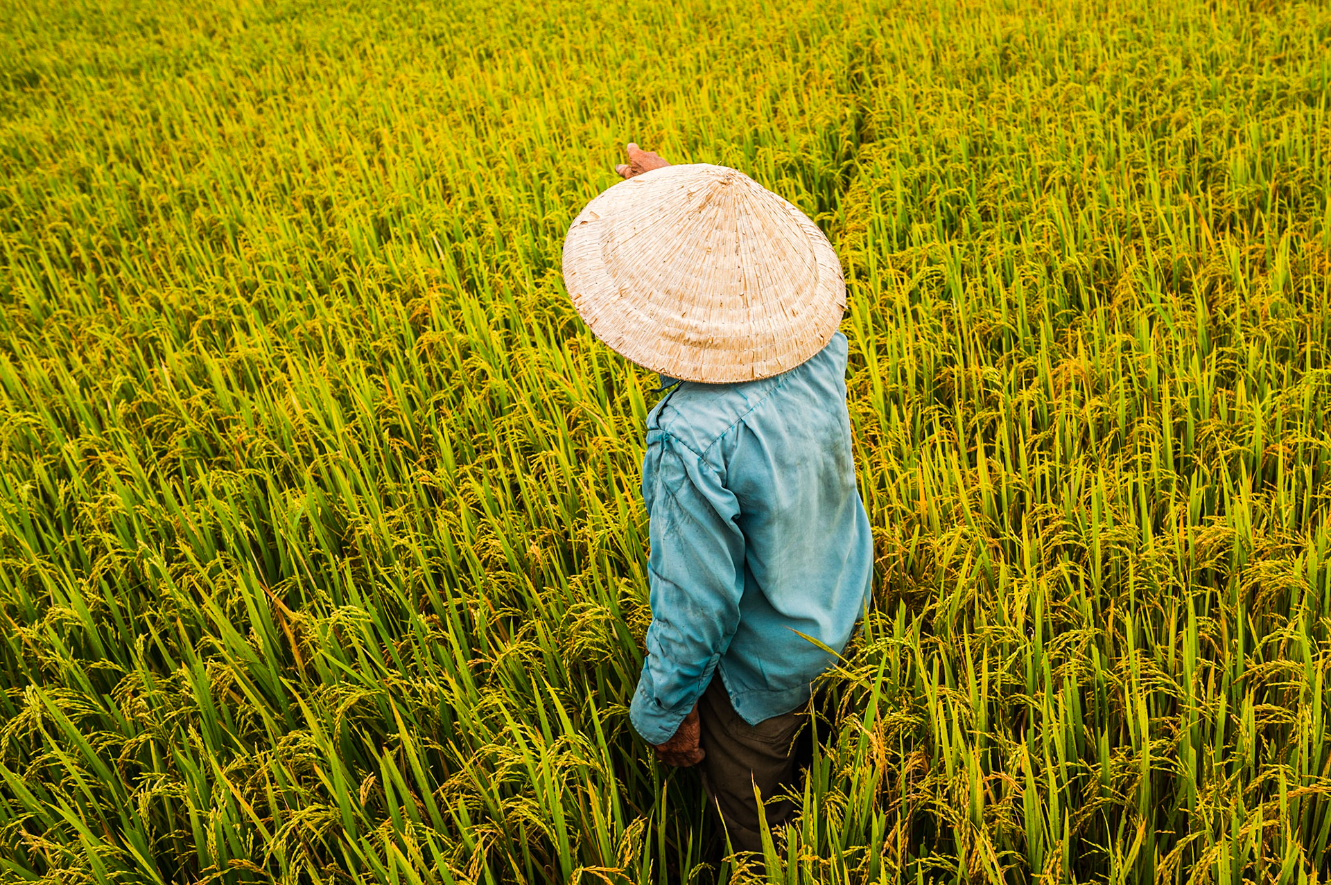 Hoi An / 17-04-2021-135