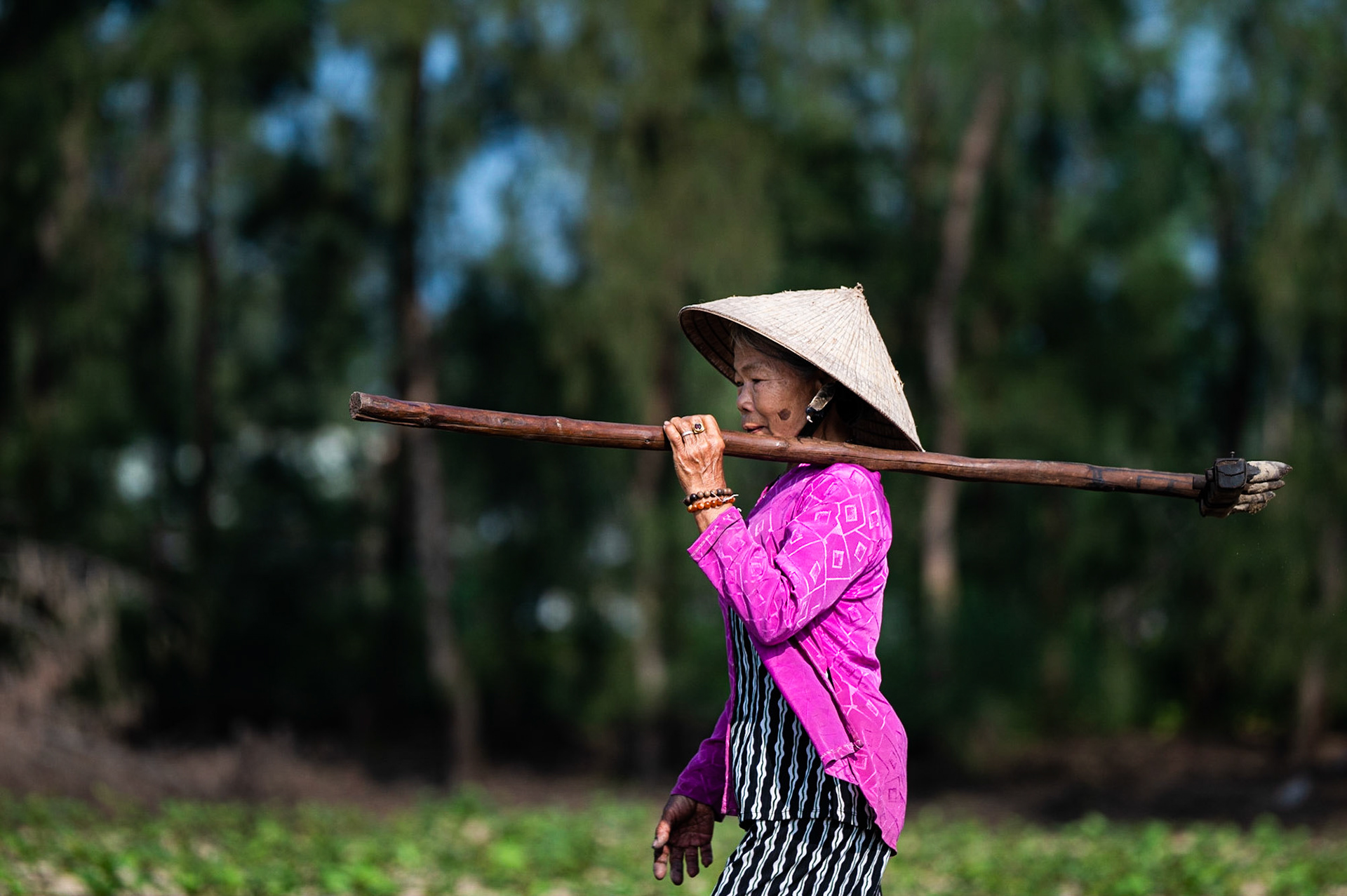 Hoi An / 23-01-2021-095