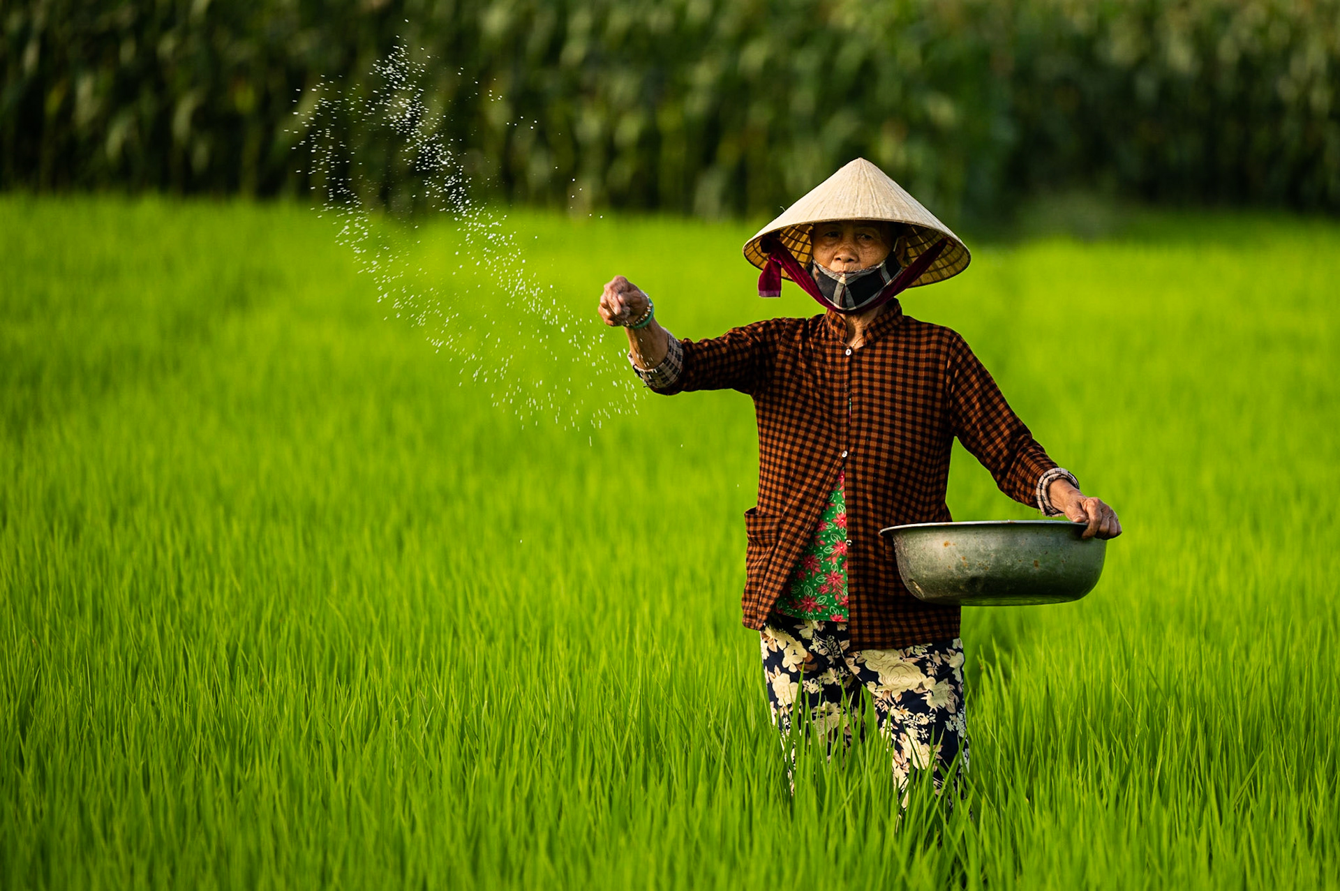 Hoi An / 12-03-2021-409