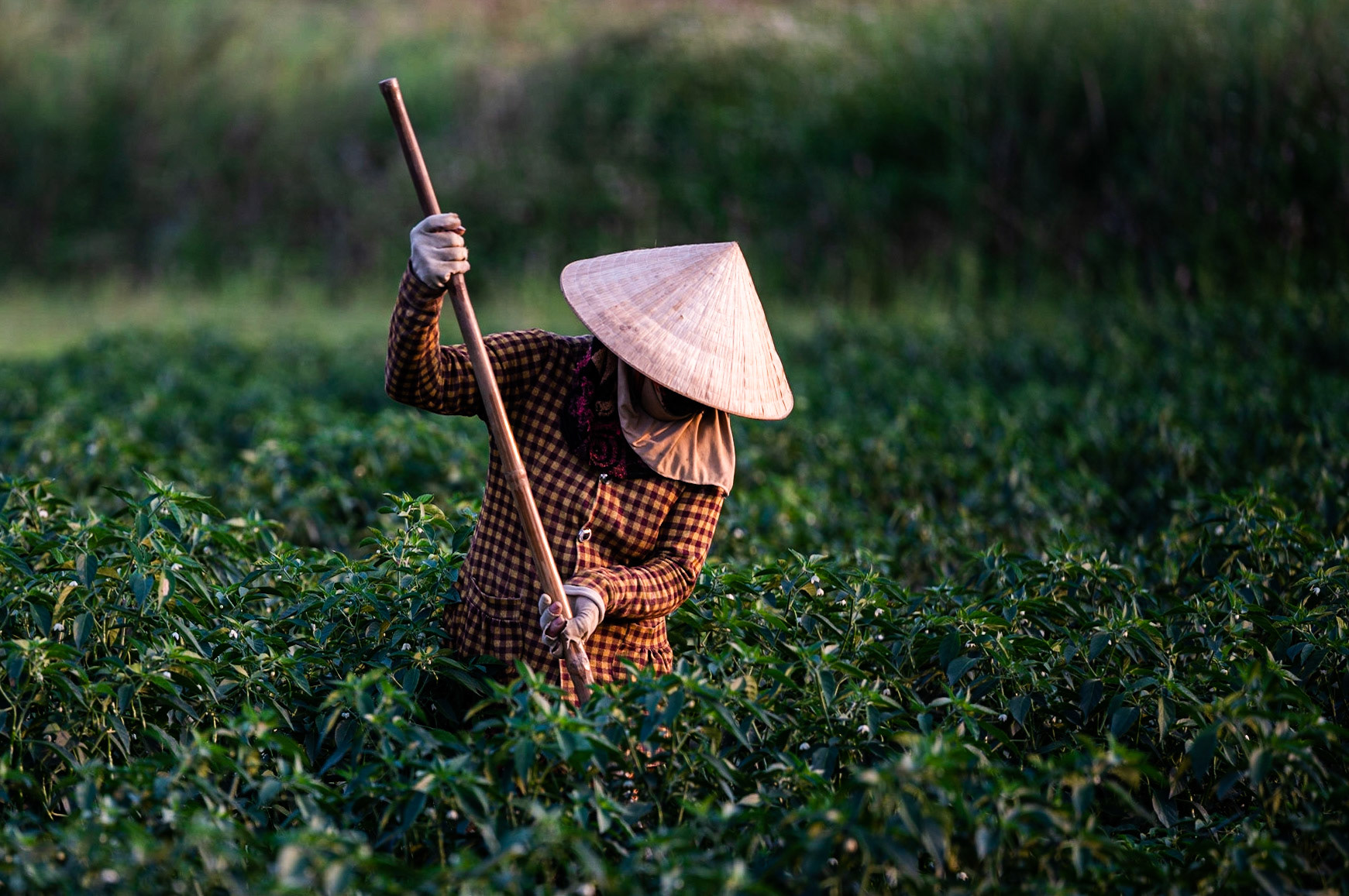 Hoi An / 13-03-2021-732
