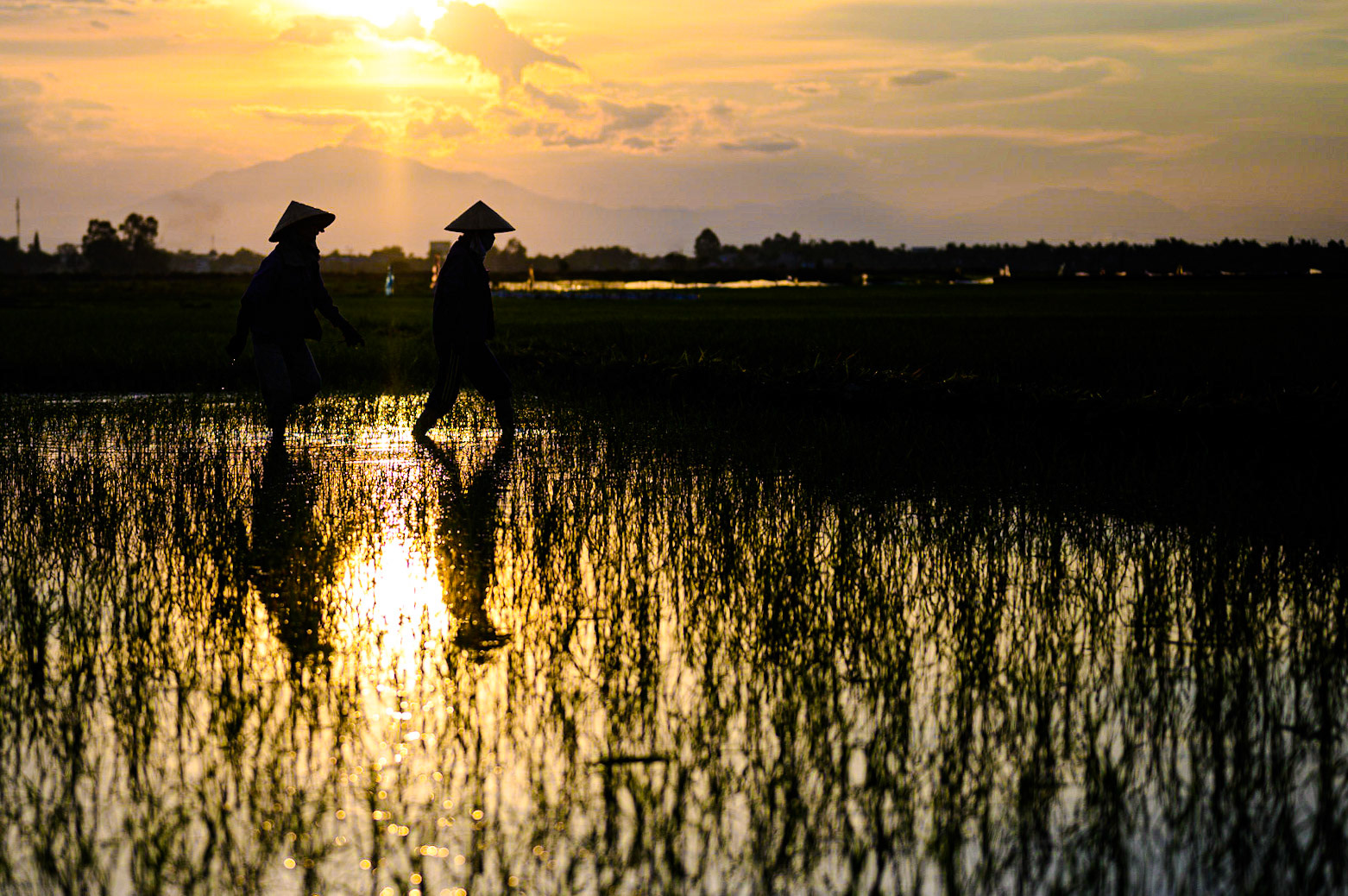Hoi An / 28-06-2020-1230