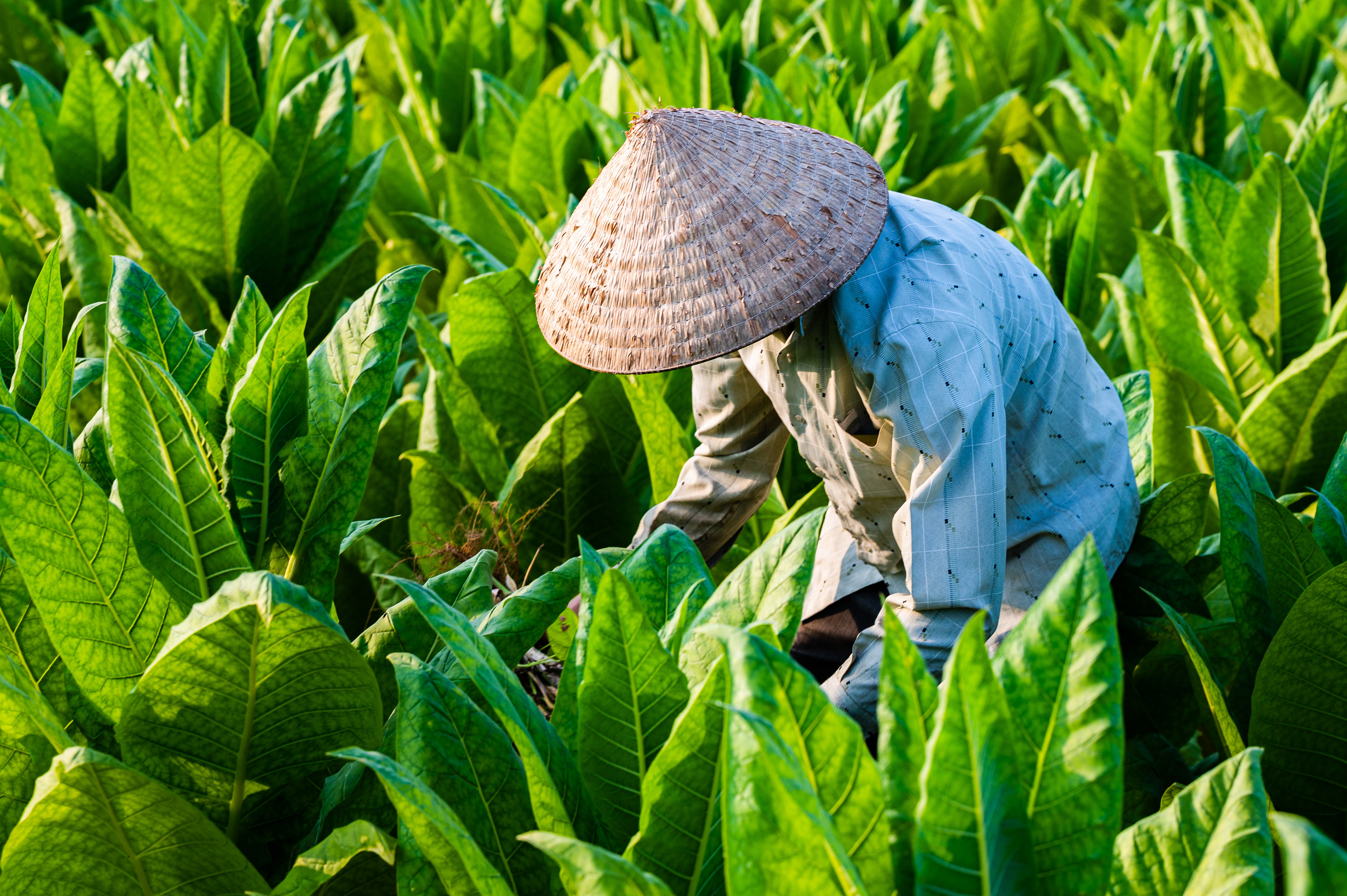 Hoi An / 13-03-2021-642