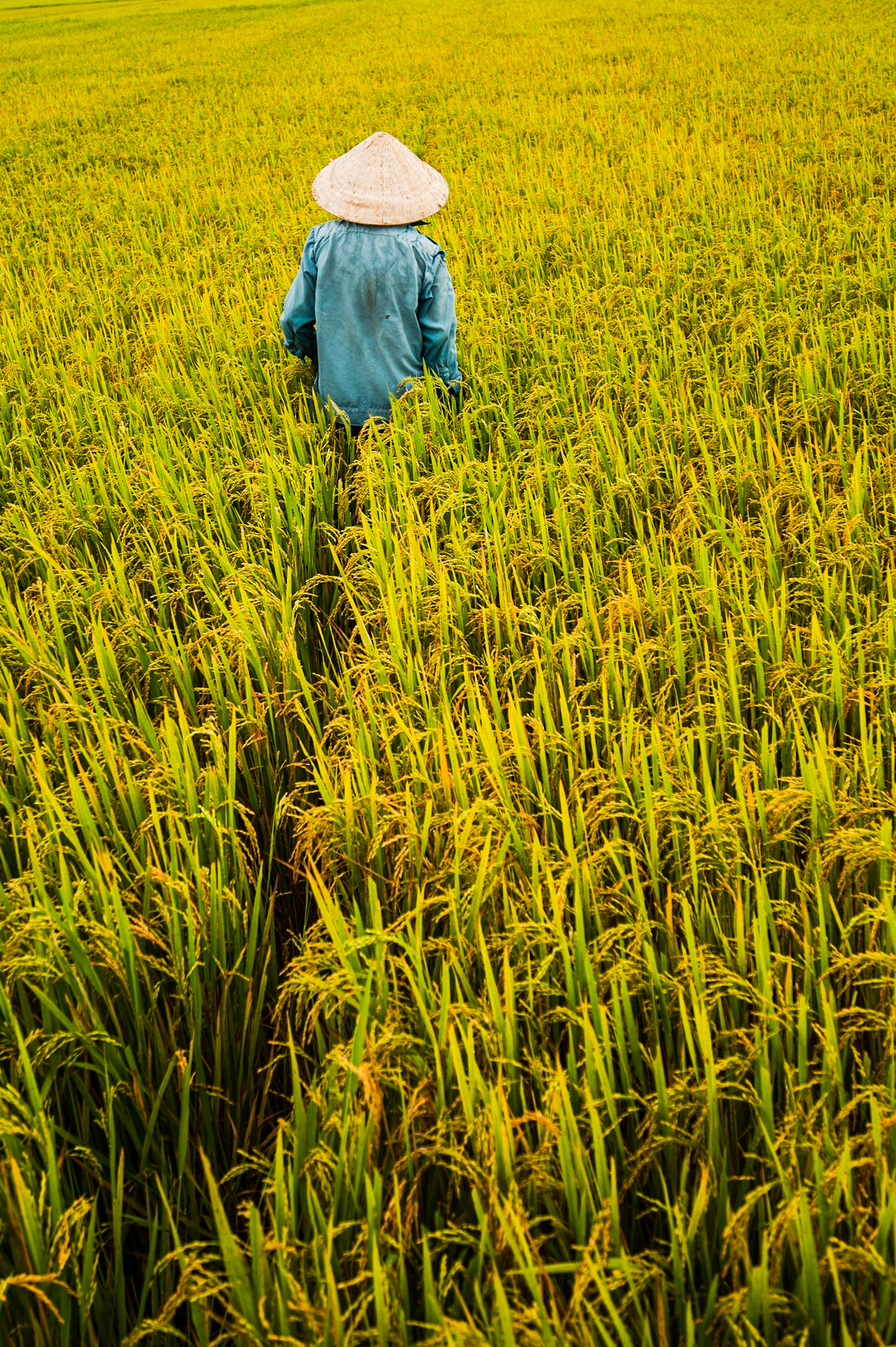 Hoi An / 17-04-2021-158