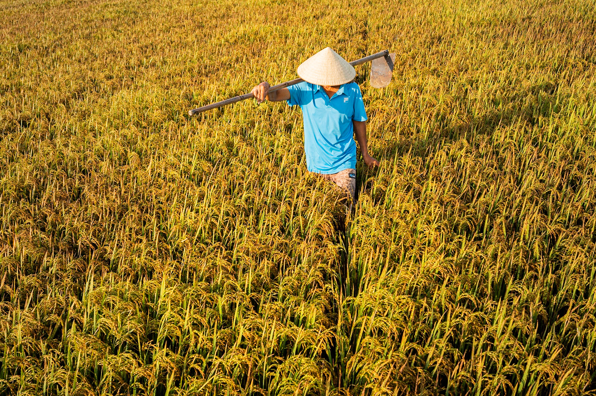 Hoi An / 18-04-2021-007
