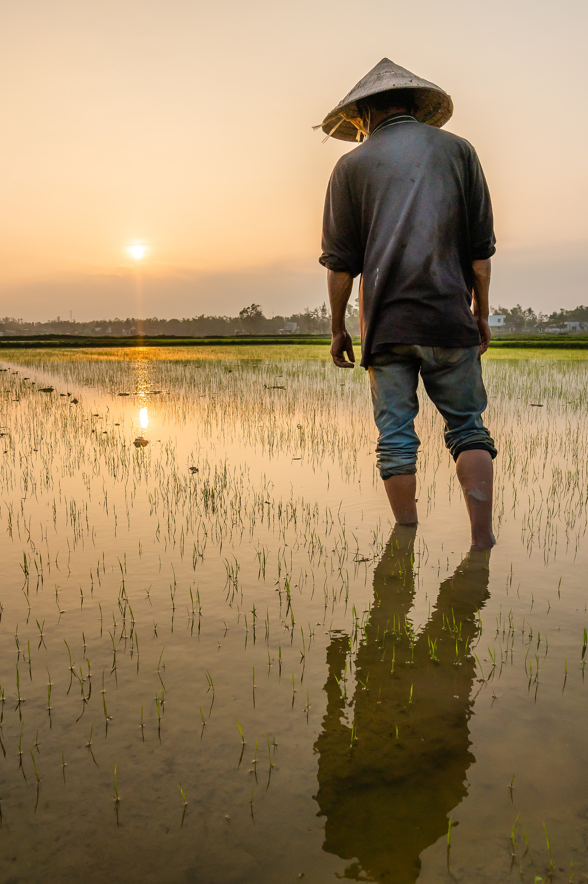 Hoi An / 23-01-2021-651